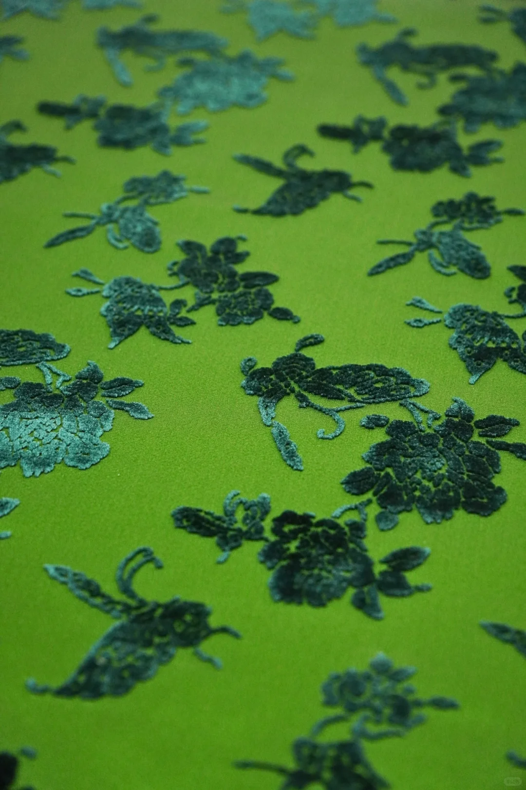 蝶恋花 · 绿底青蓝绒漳缎 王晨监制冠名