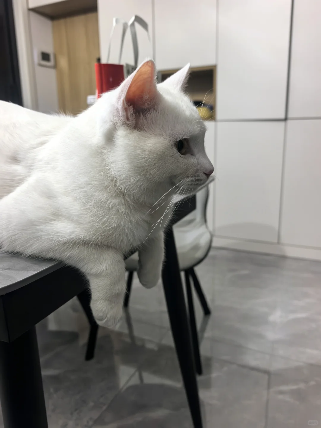 可爱尤物