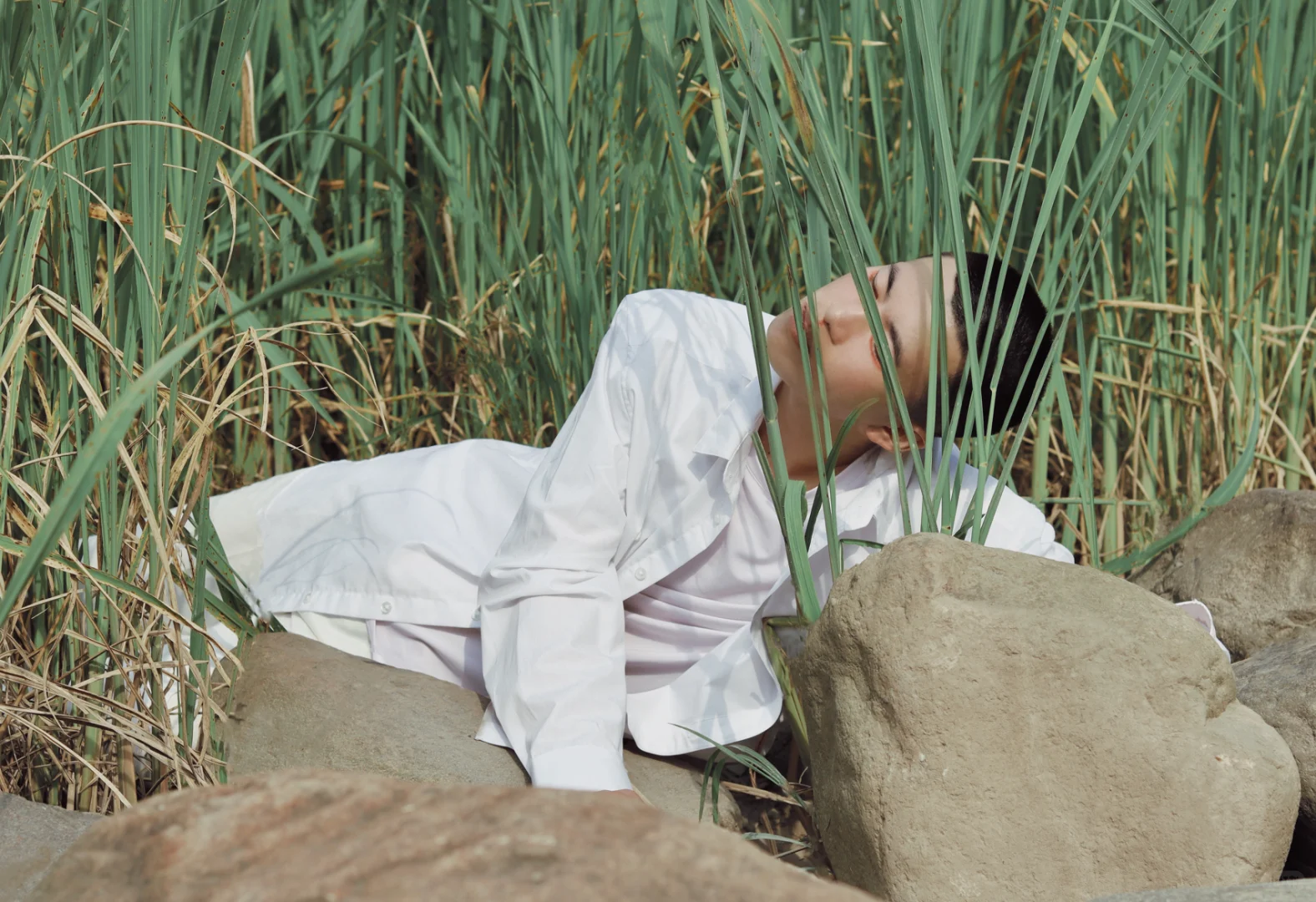 夏至·芦苇🌾｜上海约拍