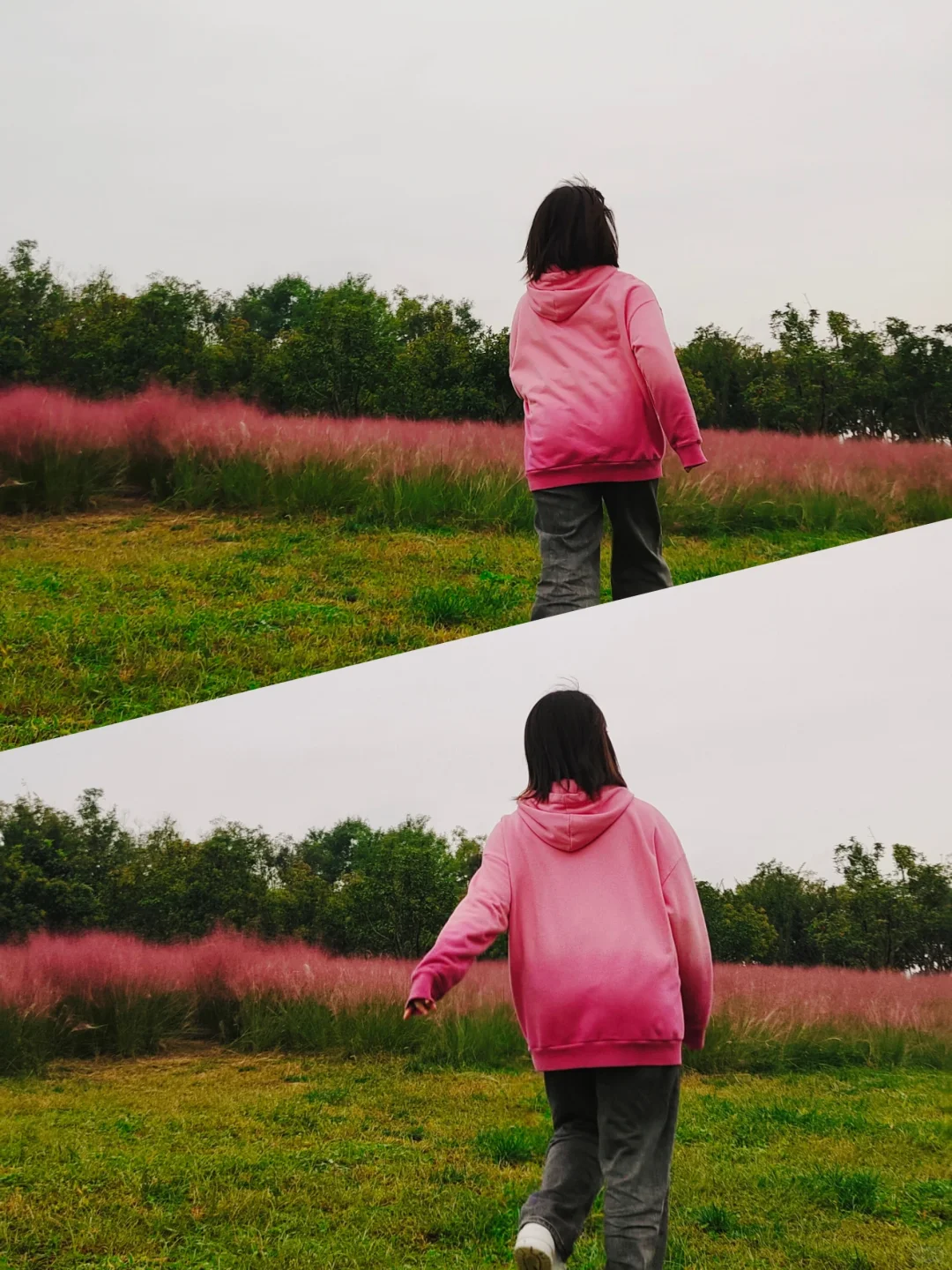 ❤️向上生长，散发阳光，自由又随性