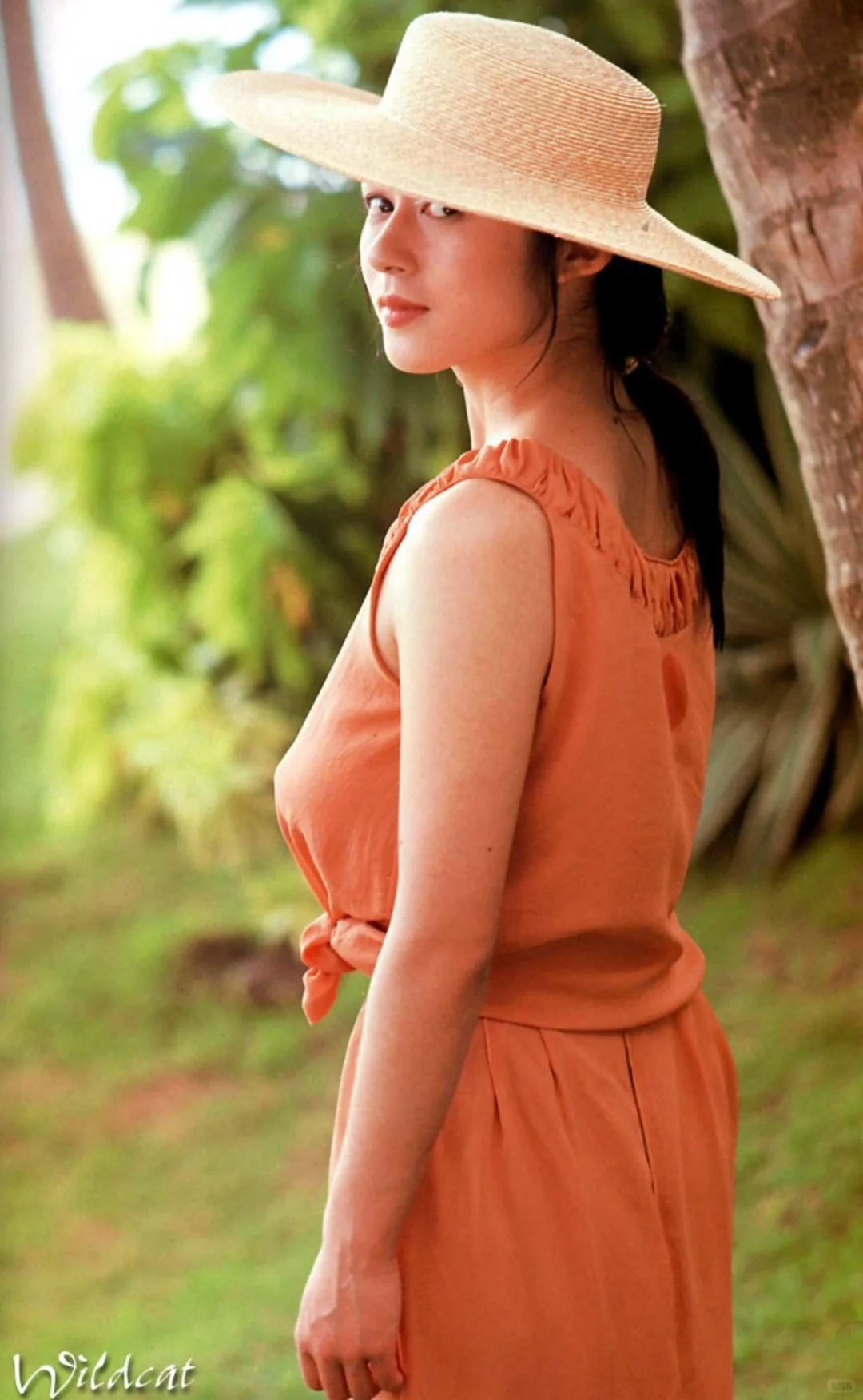 青山知可子★亚热带&热带性气候★