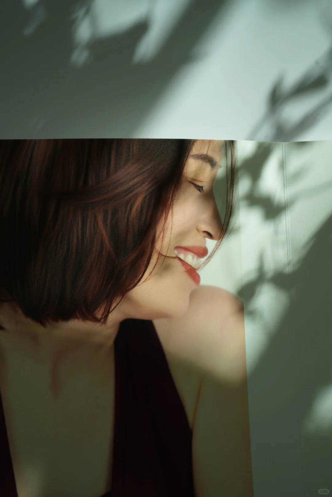 我的第13本照片书