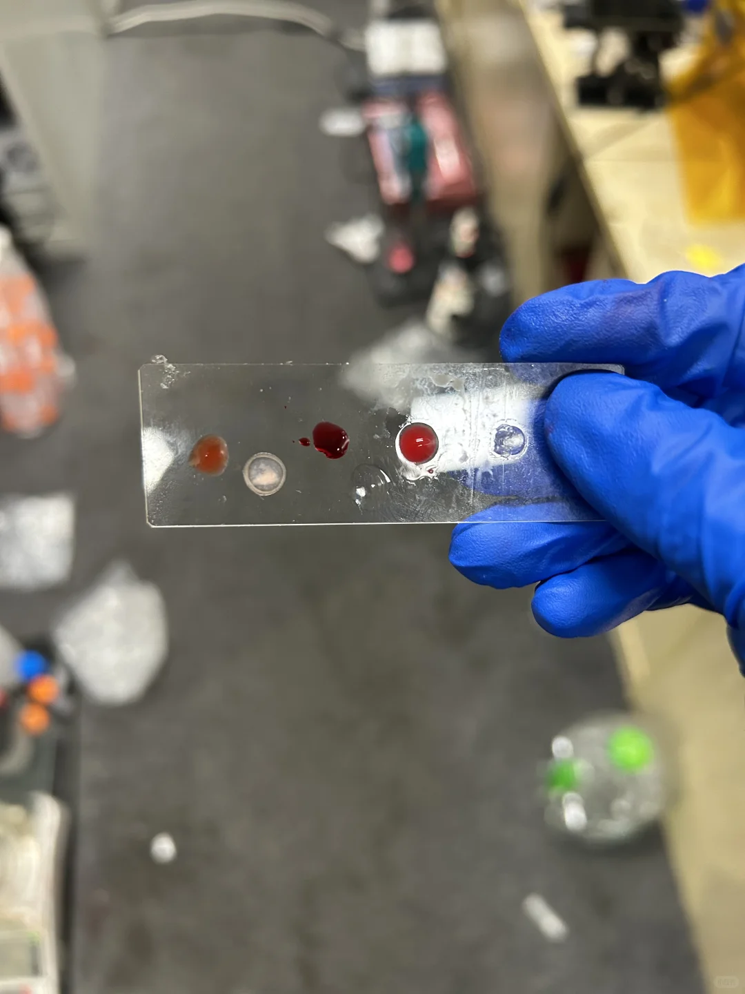 CityU理工科港硕复盘