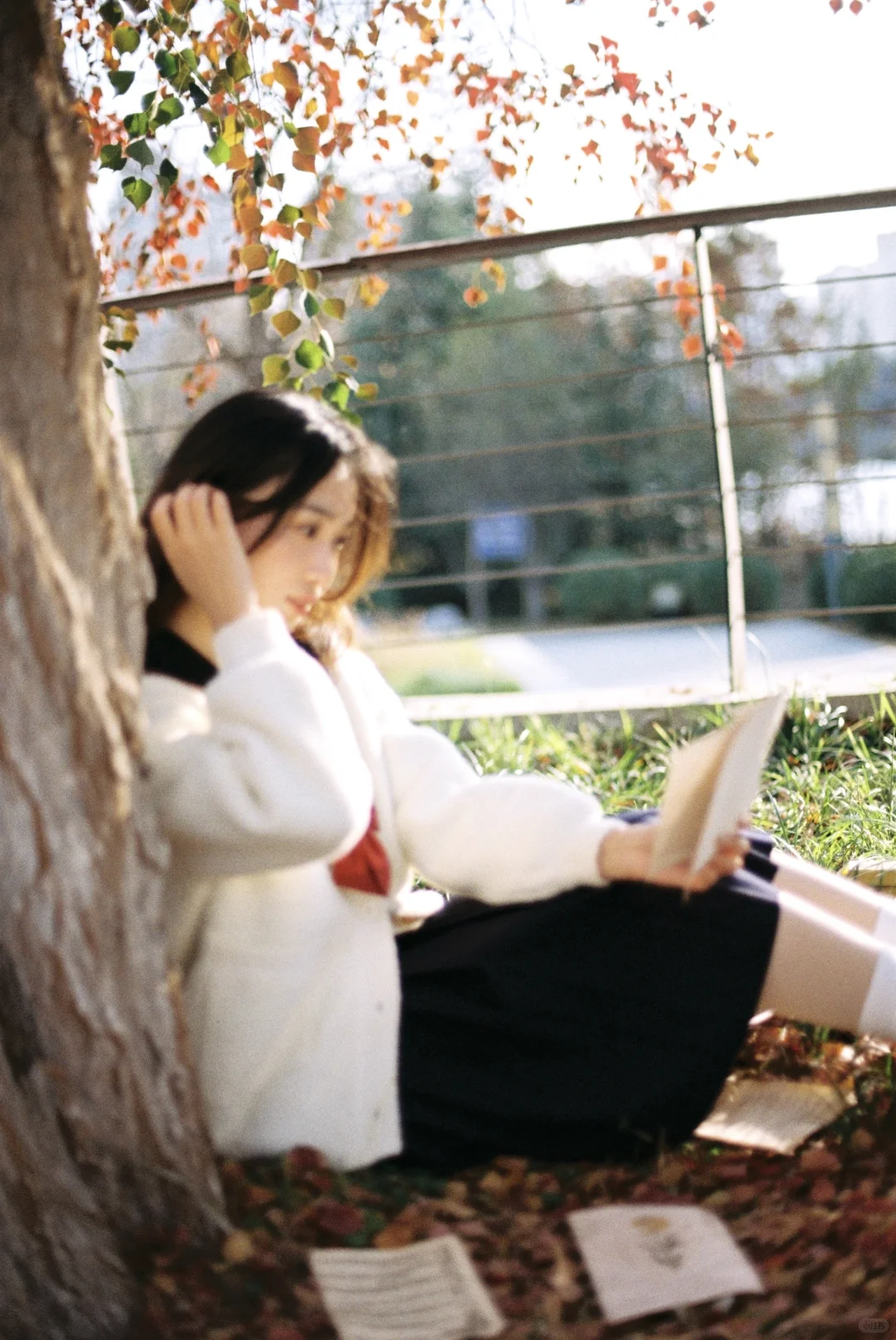 胶片合集｜是哪本写真集的扉页