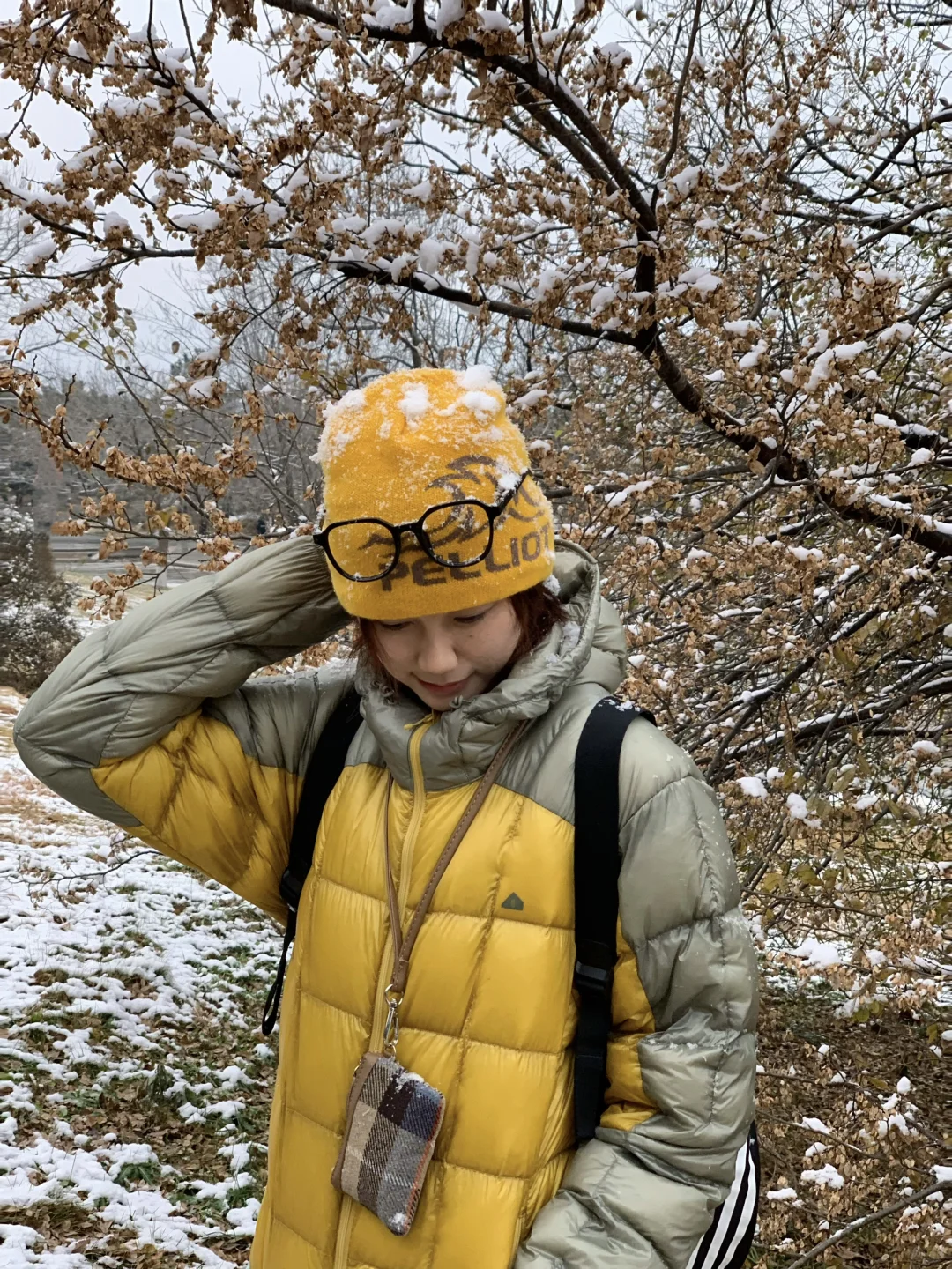 📍青岛初雪，海边的冰雪森林❄️🌲