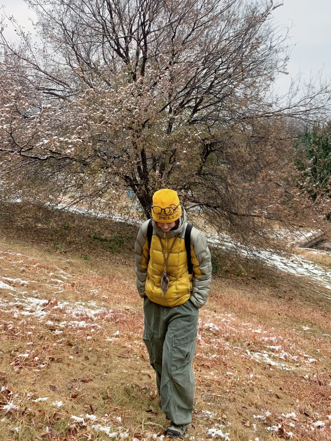 📍青岛初雪，海边的冰雪森林❄️🌲