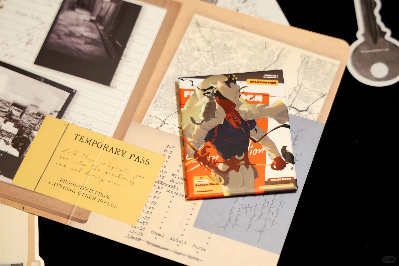 我家大鹅能做模特吗