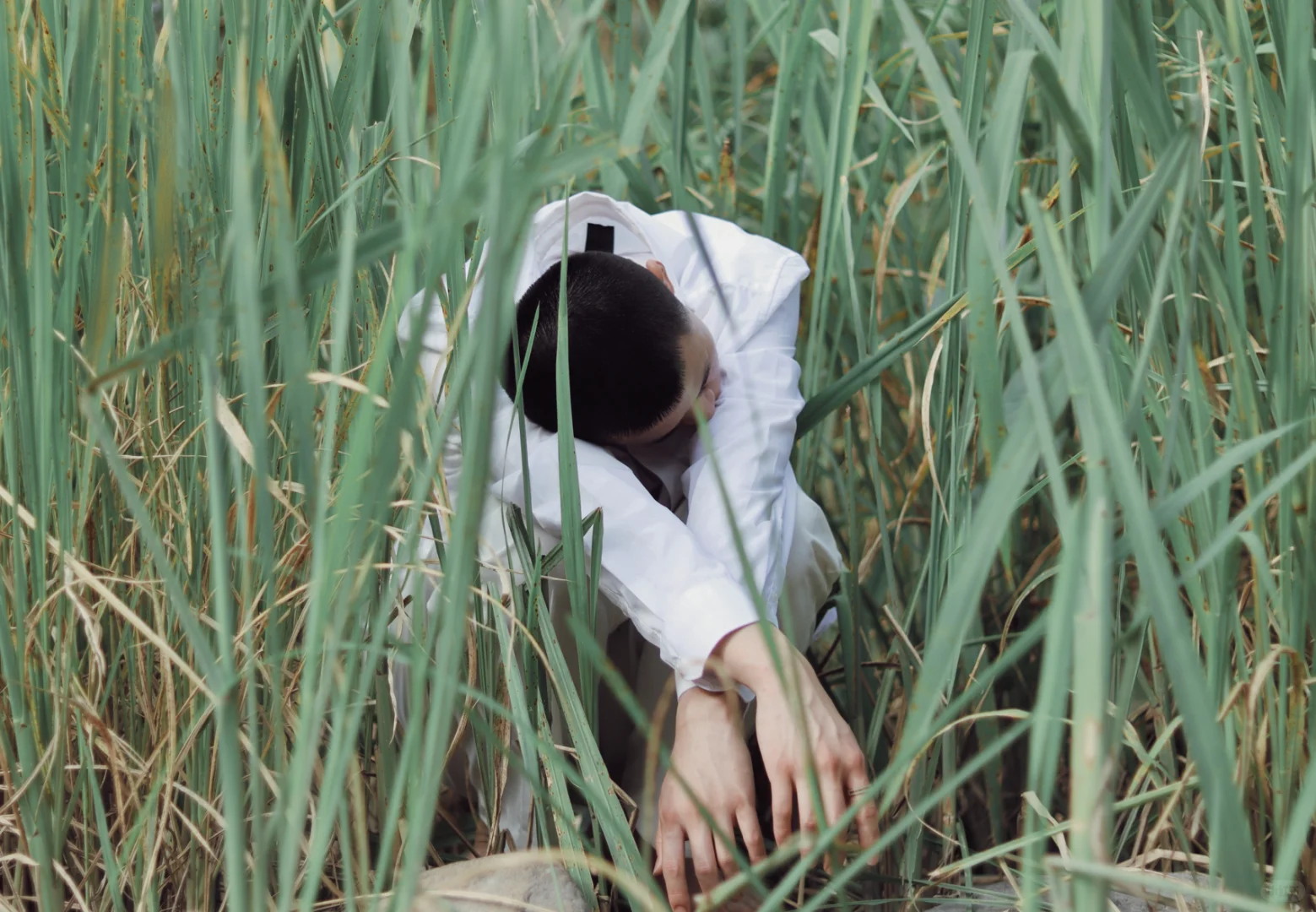 夏至·芦苇🌾｜上海约拍