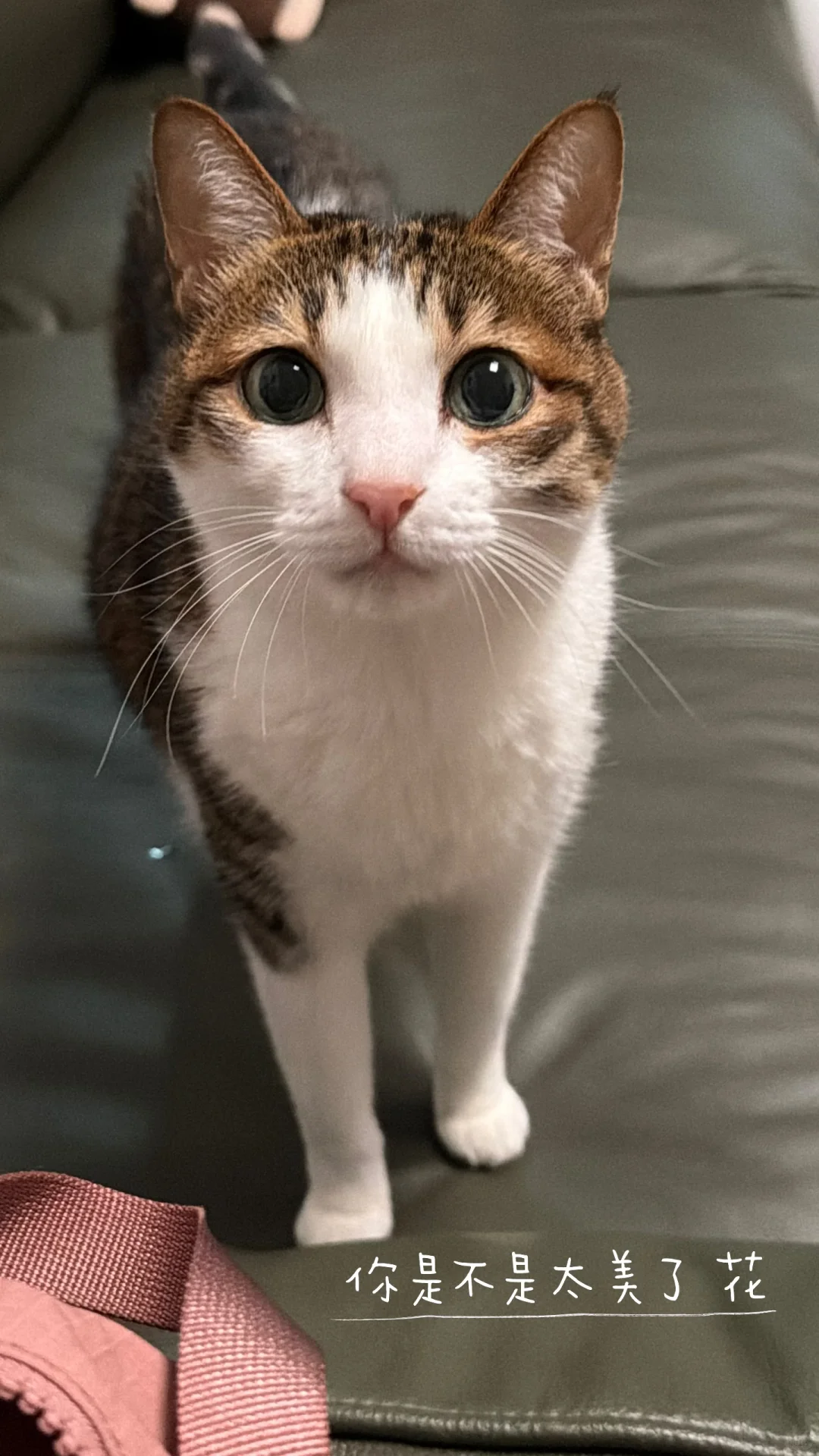 2025.12.21 皮下补液第十次