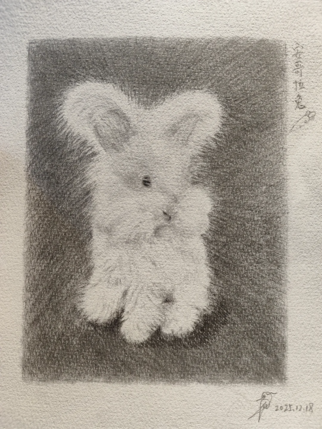 主人，带我回家咯~～