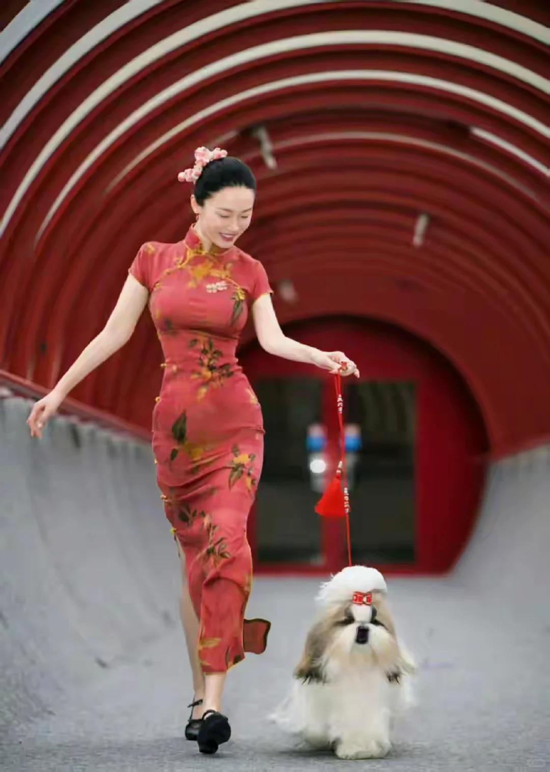 杜江激动发文庆祝老婆夺冠