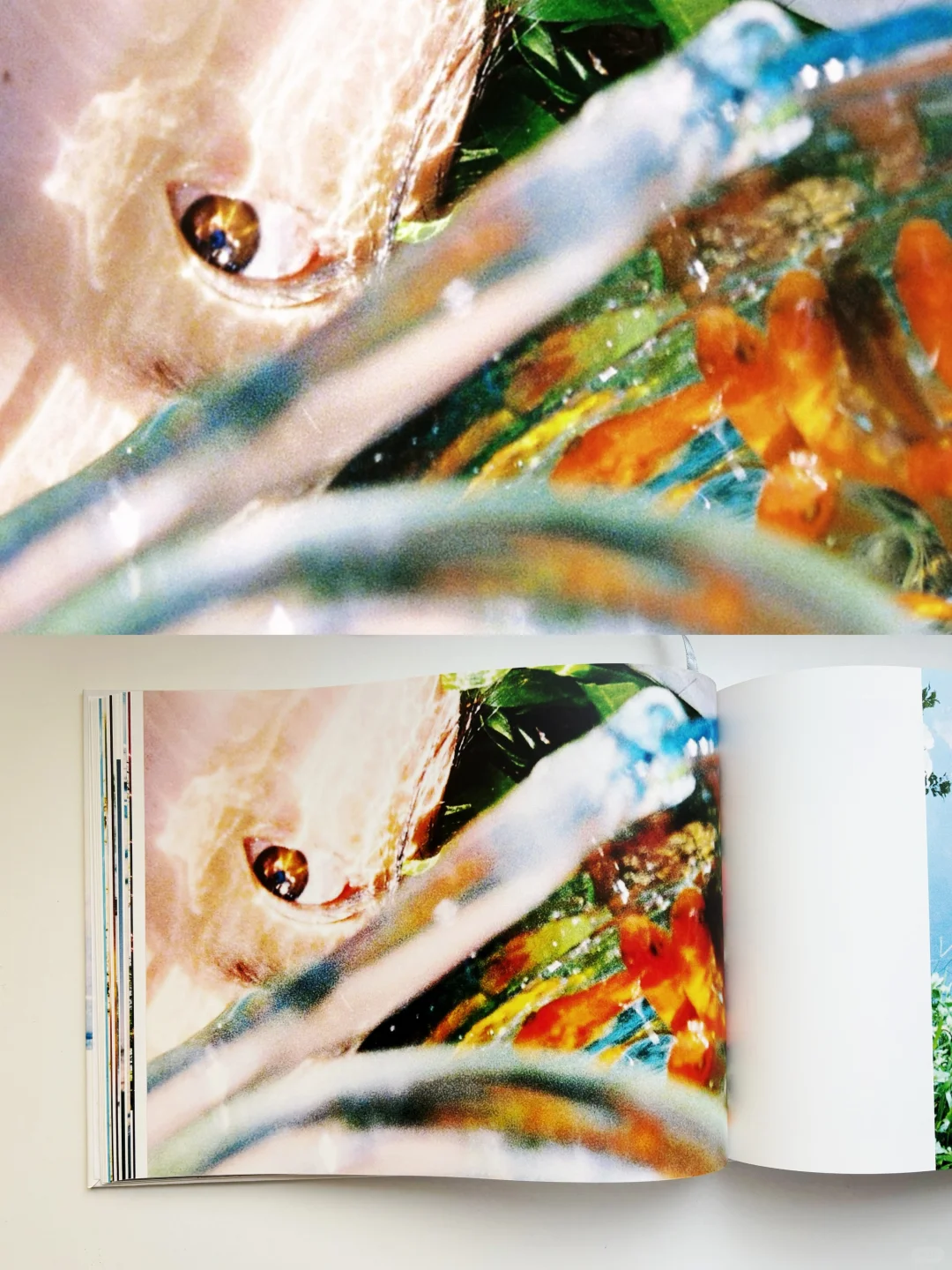 人生第一本完全属于我的摄影集