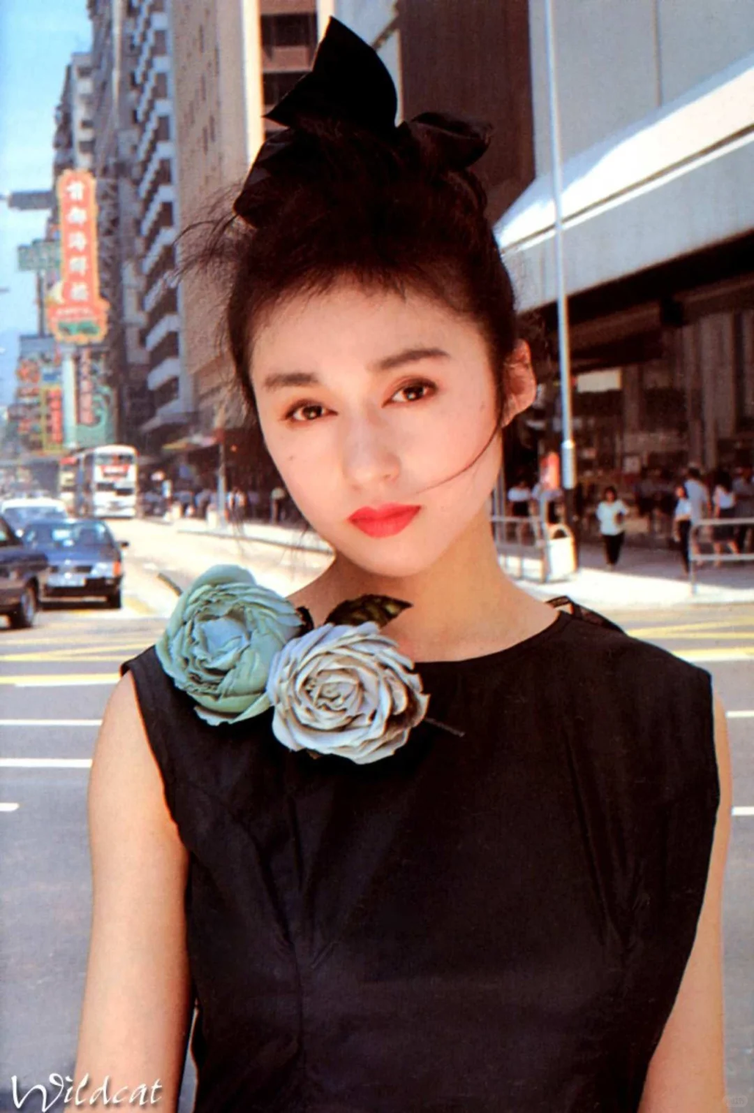 青山知可子★亚热带&热带性气候★