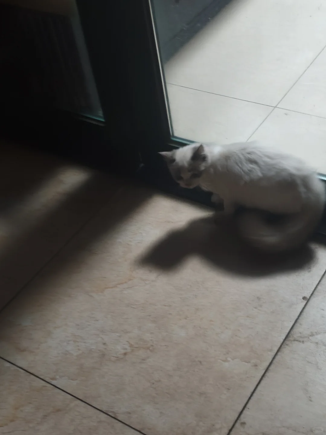 本科生进厂失败送外卖的第十四天