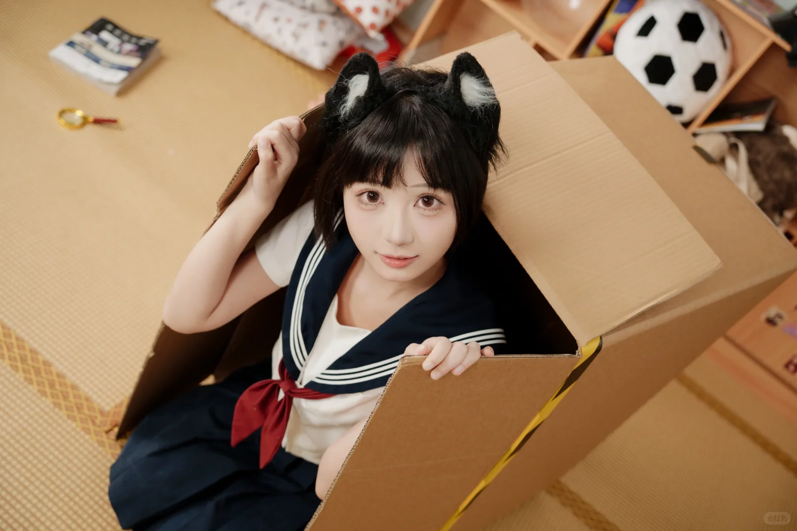 🐾被封印在纸箱的喵喵JK✨