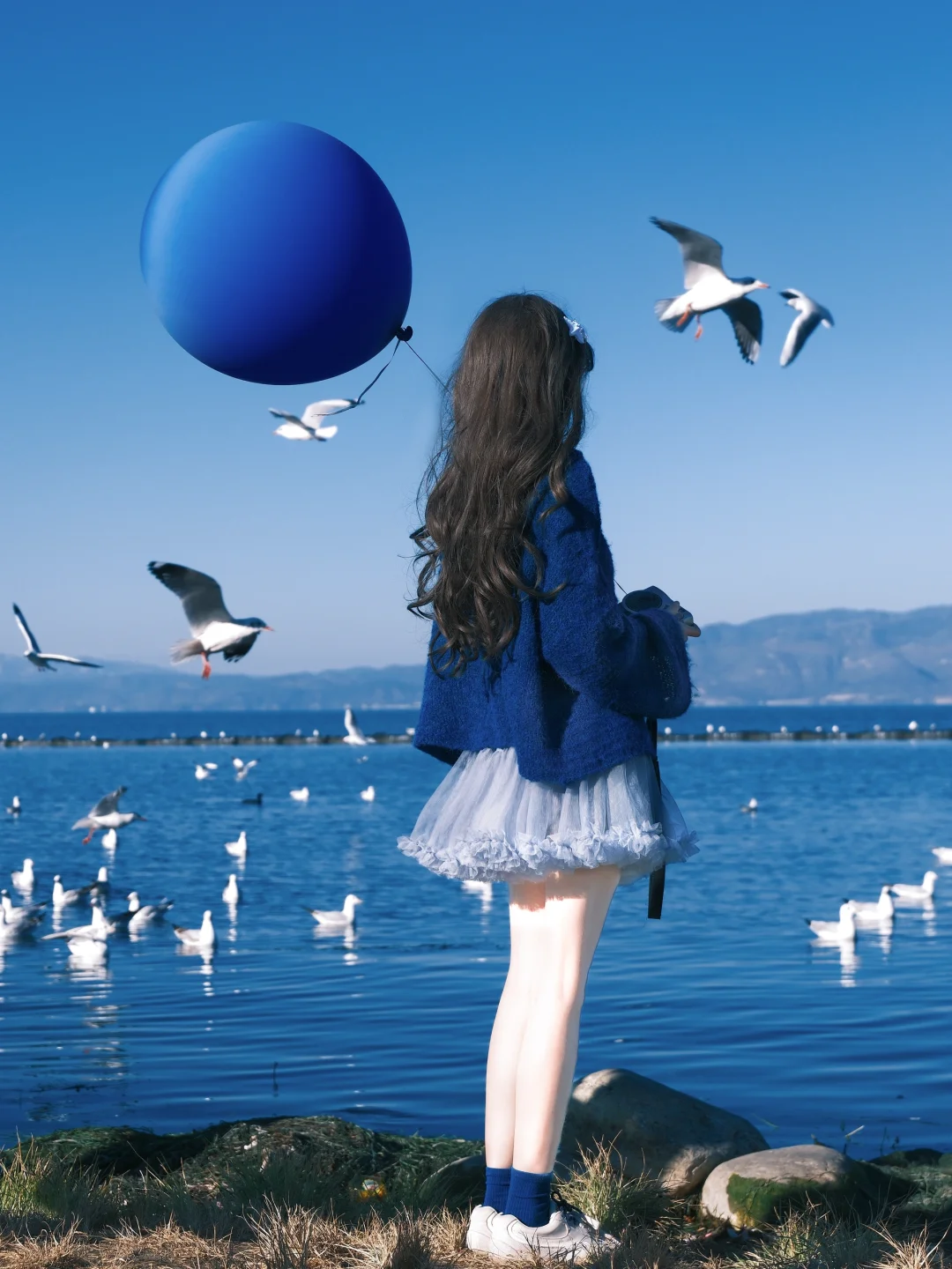 冬日蓝调时刻胶片🎞️海边海鸥氛围感随拍