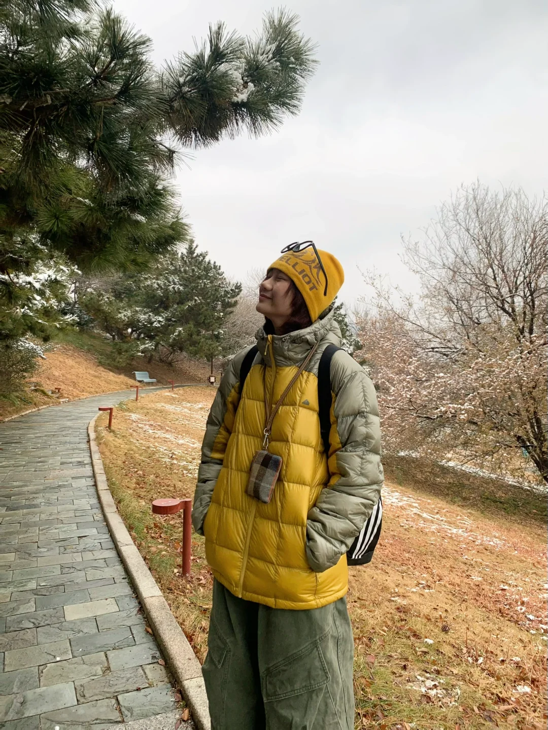 📍青岛初雪，海边的冰雪森林❄️🌲