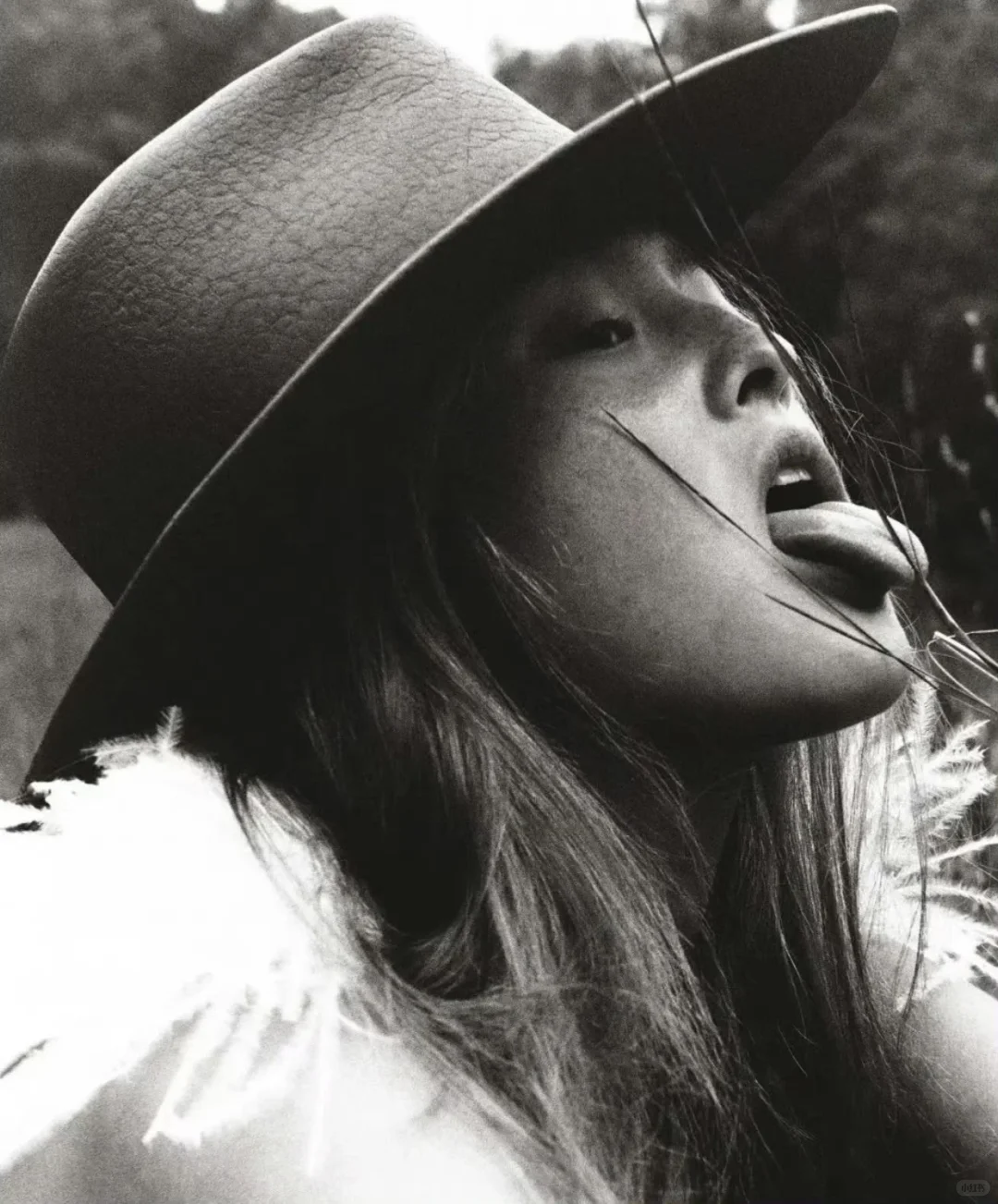 审美积累｜Dutch Magazine November 2000