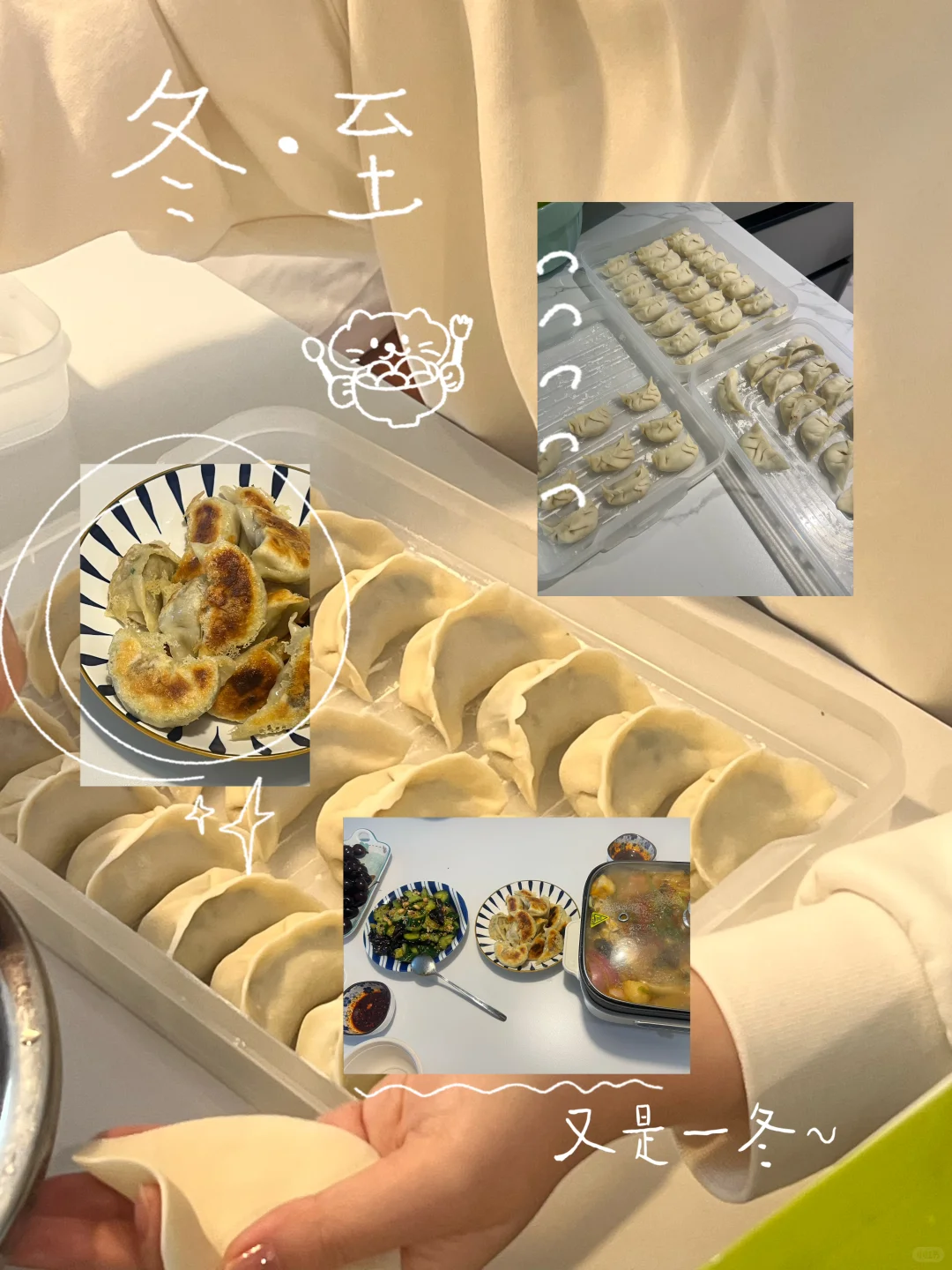 冬至｜吃一口荠菜鲜，胃里就暖了🥟