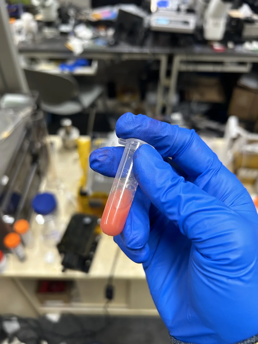 CityU理工科港硕复盘