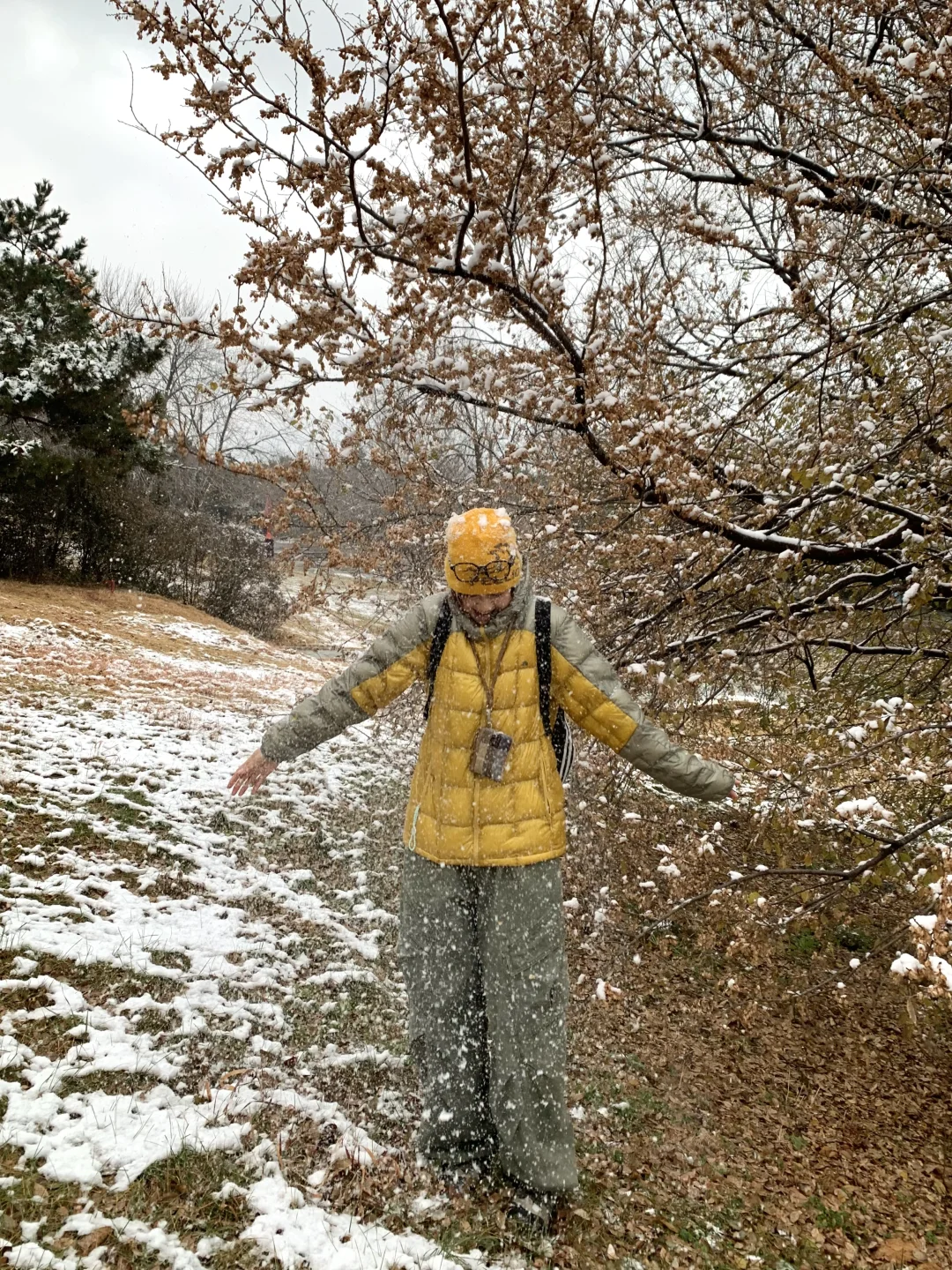 📍青岛初雪，海边的冰雪森林❄️🌲