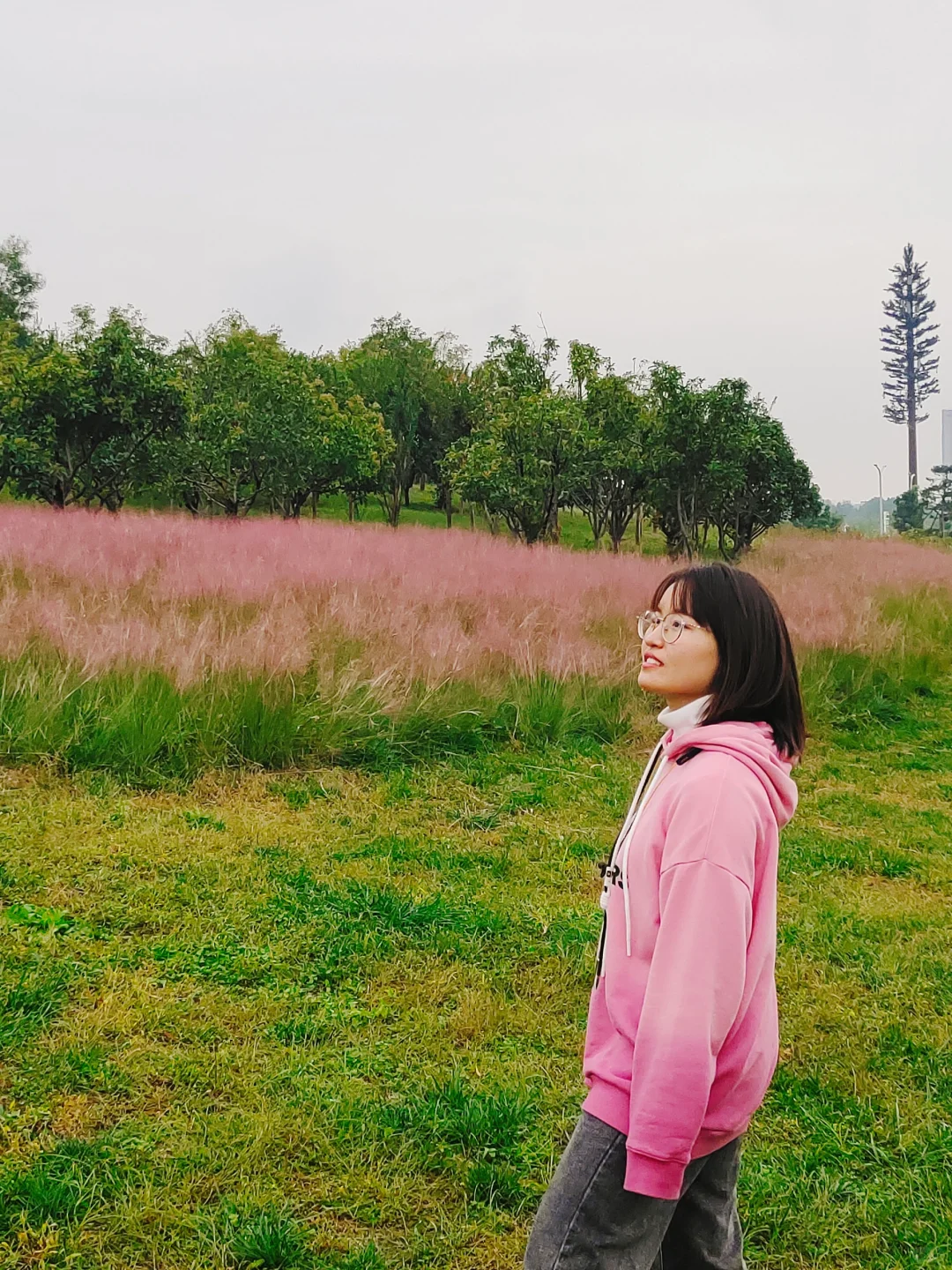 ❤️向上生长，散发阳光，自由又随性