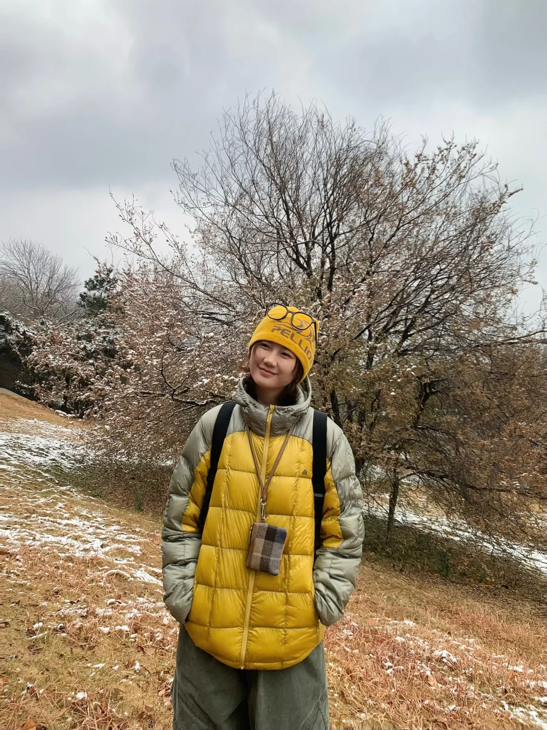 📍青岛初雪，海边的冰雪森林❄️🌲