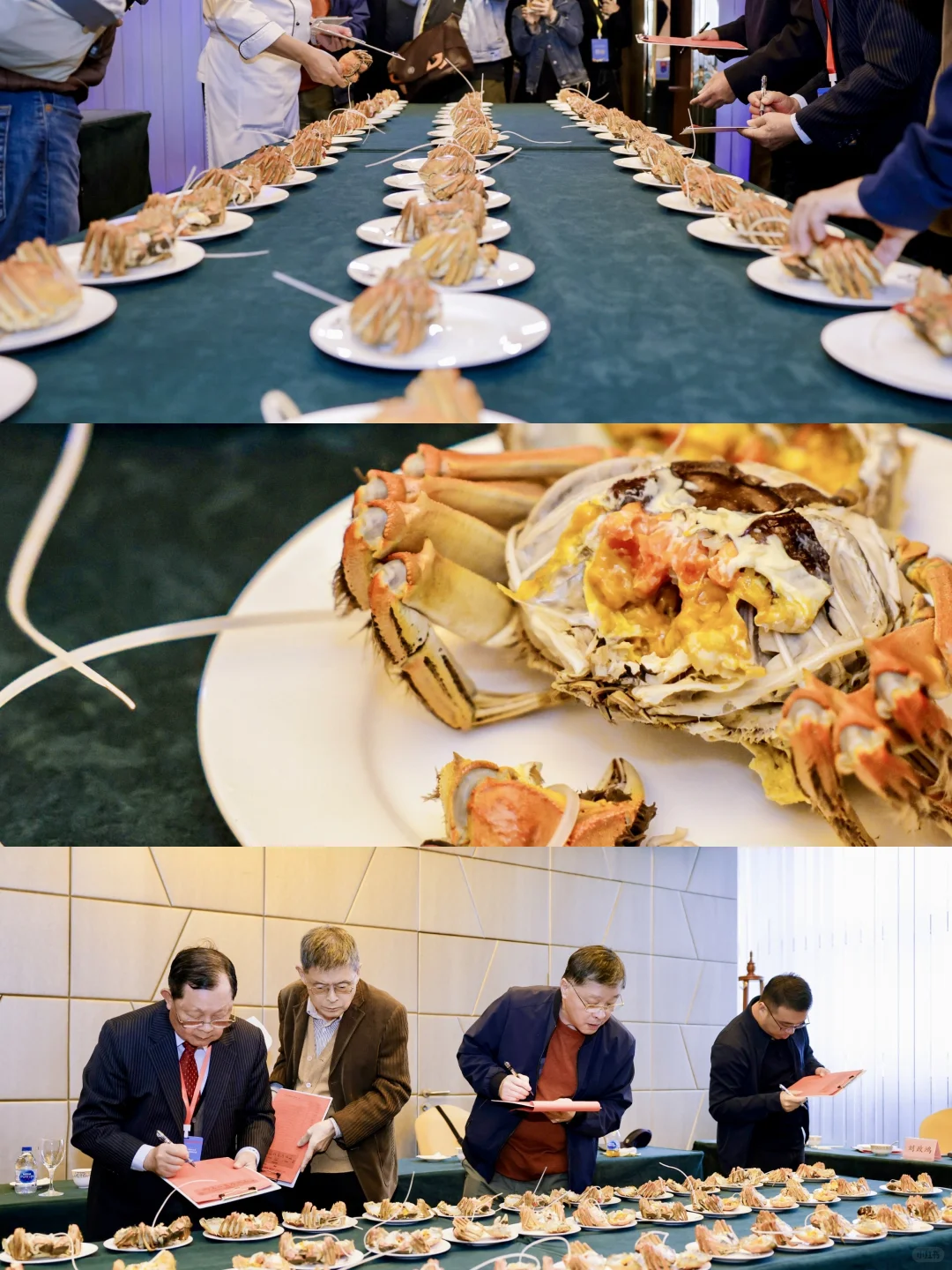 ✌️我们又又又得“金蟹奖”🏆啦！！！