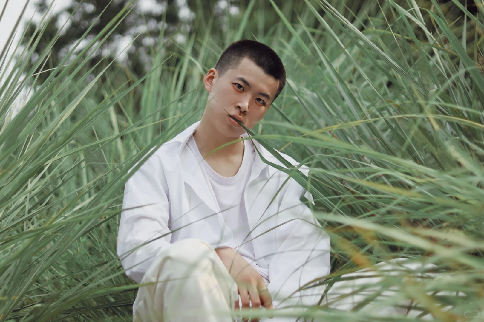 夏至·芦苇🌾｜上海约拍