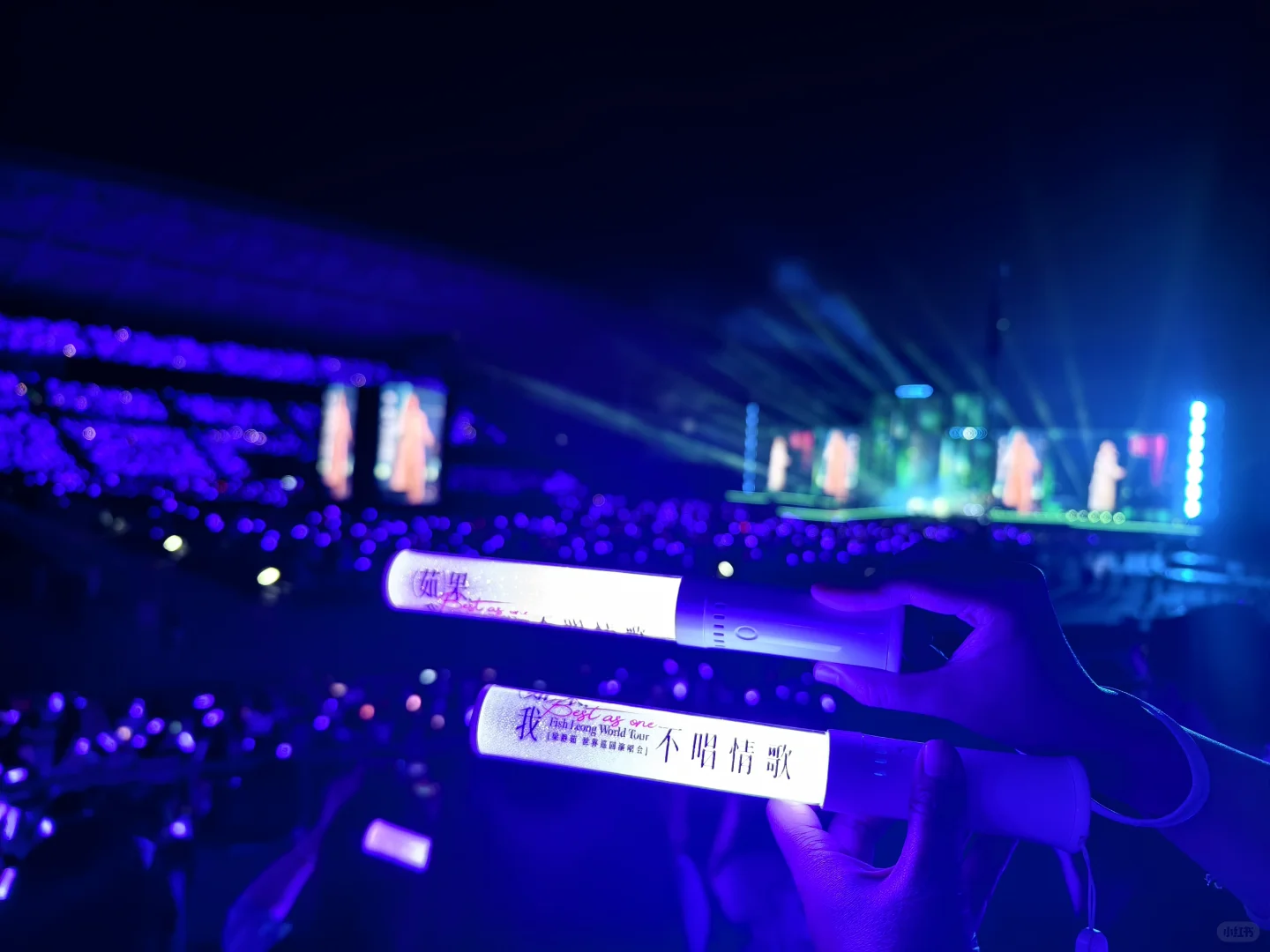 🐟姐2025演唱会