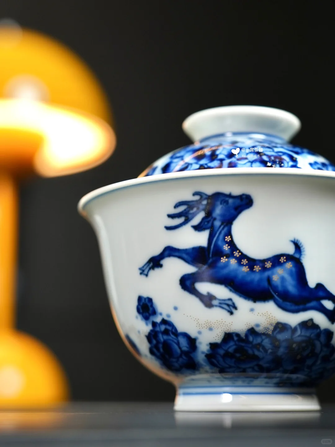 立明堂｜追光逐梦 一路繁花🦌