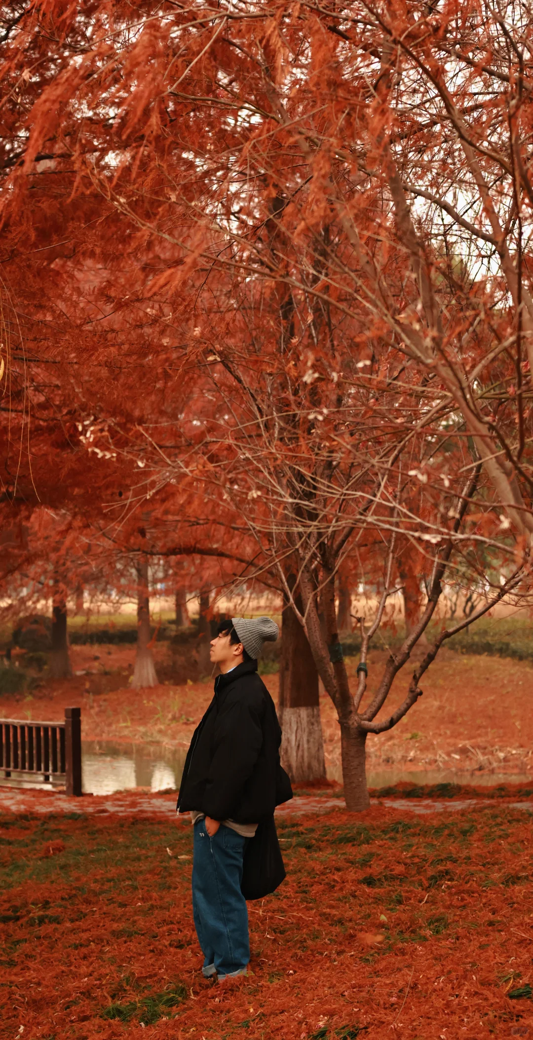 家人们，这里绝对是出红杉写真集的好去处