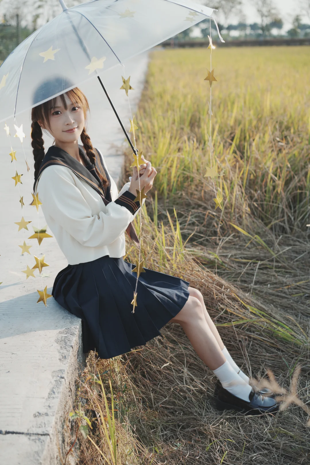 冬天的广东仍风吹稻穗🌾