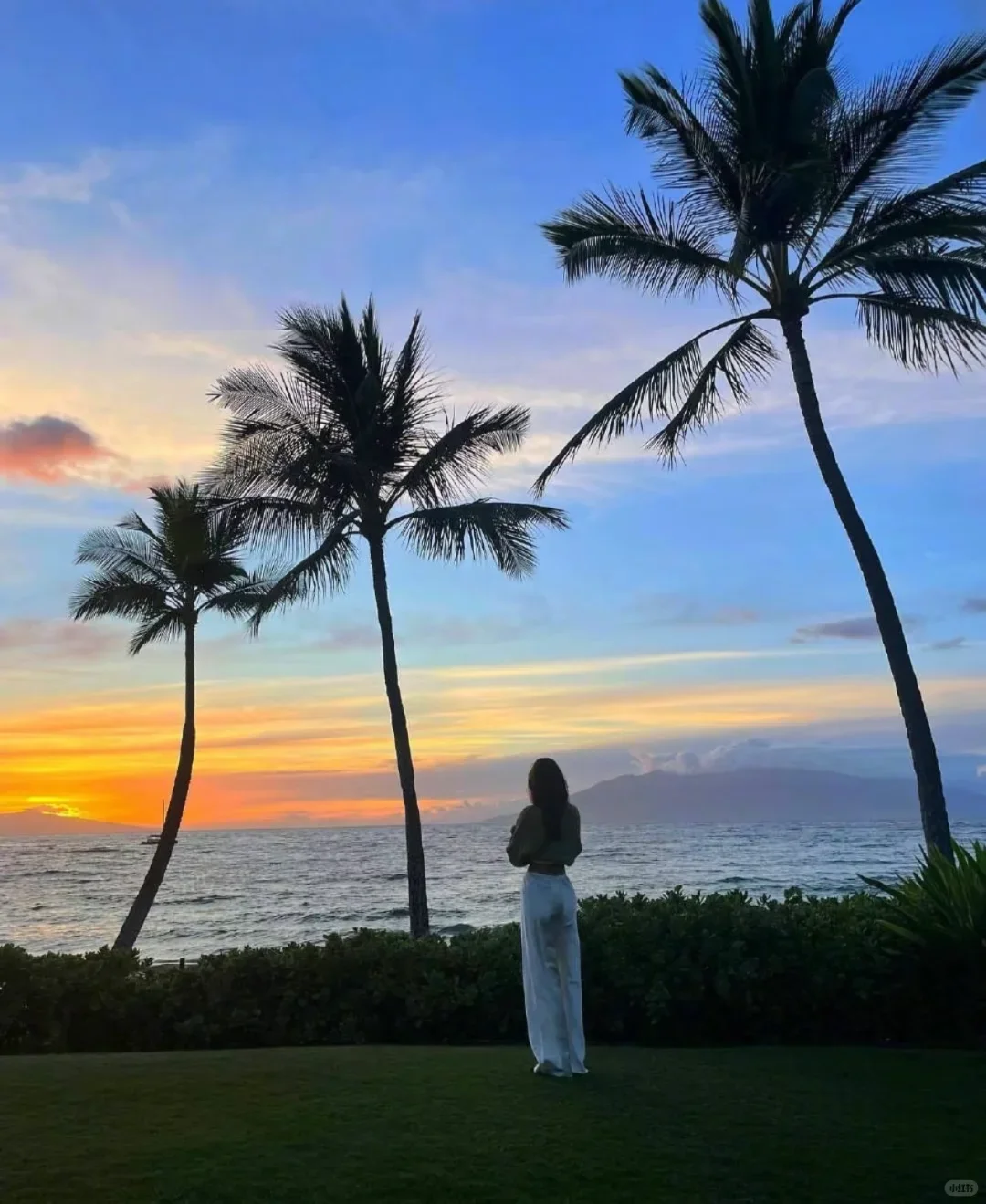 肯豆啊，漂亮有钱的小姨，自由，美好，热烈