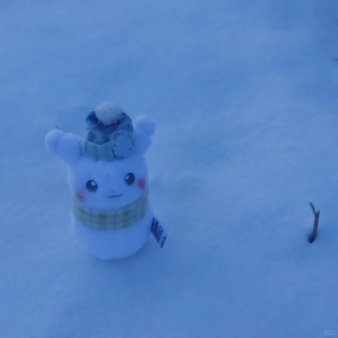 雪人皮·写真集