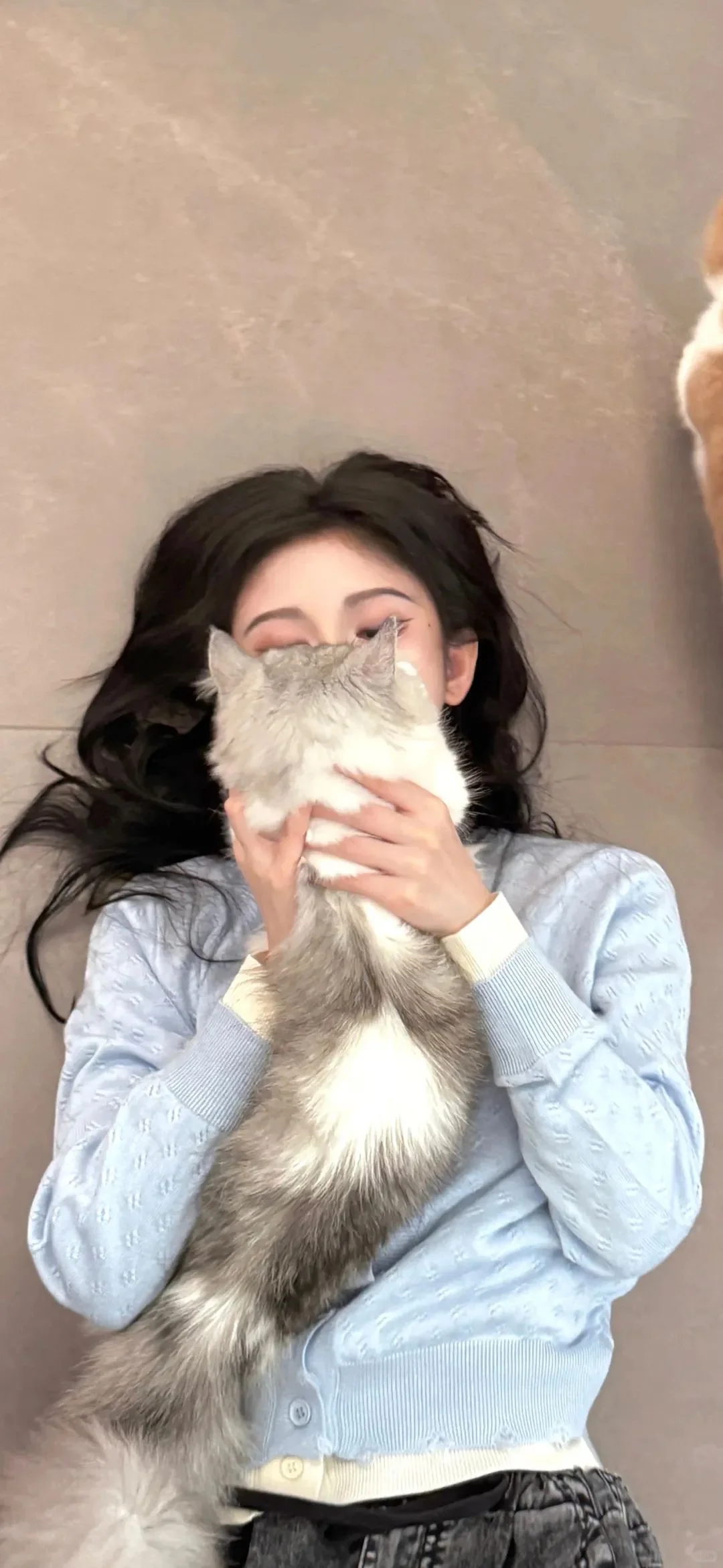 你下架了︱颜值壁纸