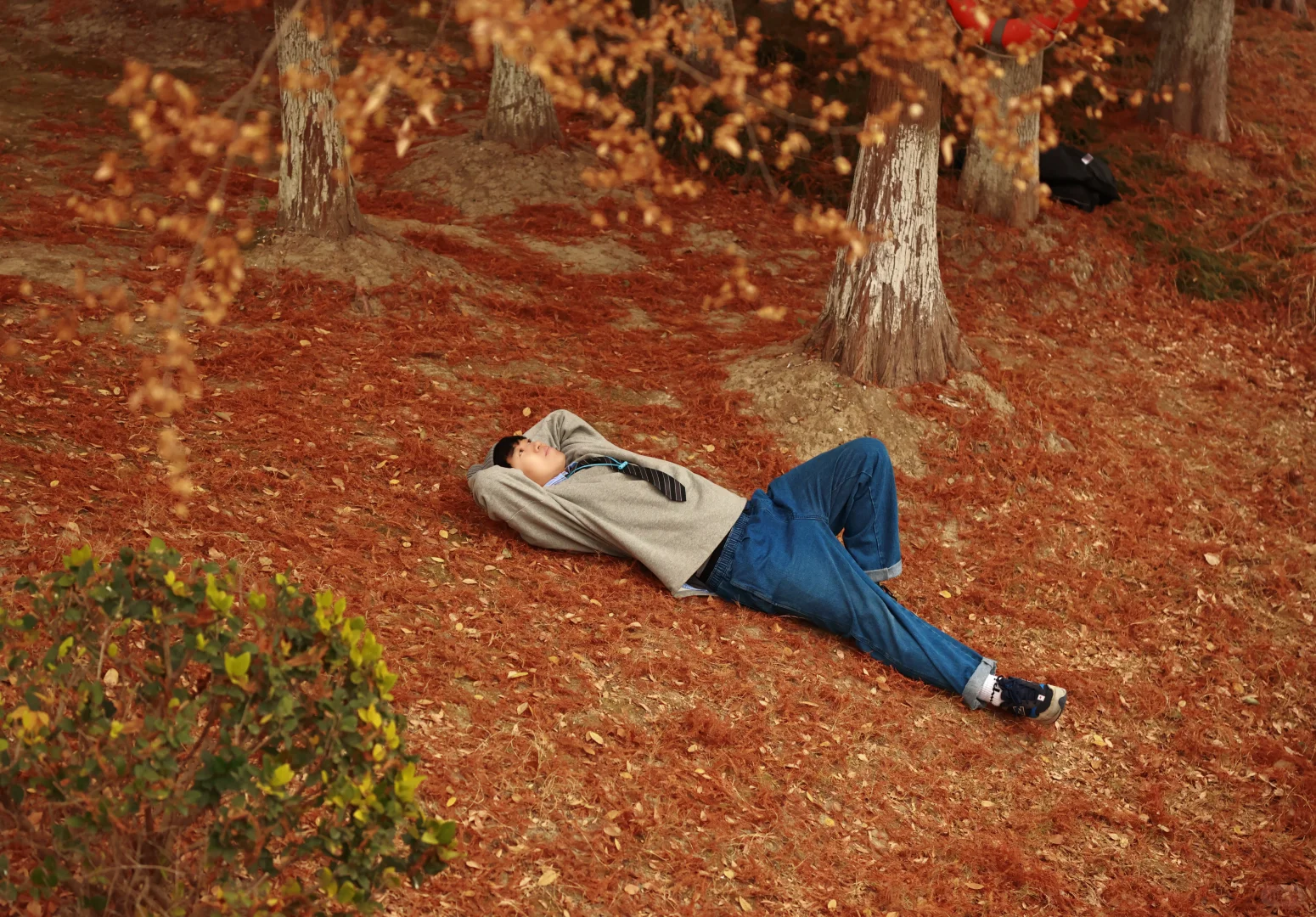 家人们，这里绝对是出红杉写真集的好去处