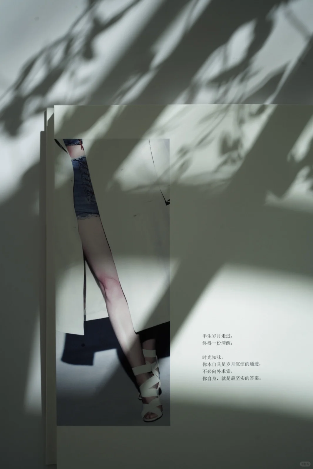 我的第13本照片书