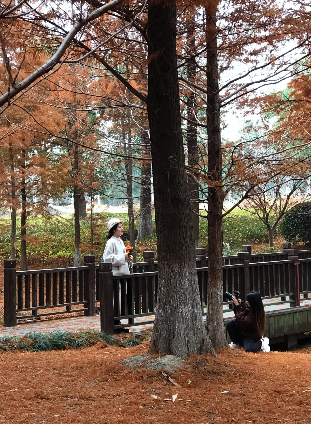 家人们，这里绝对是出红杉写真集的好去处