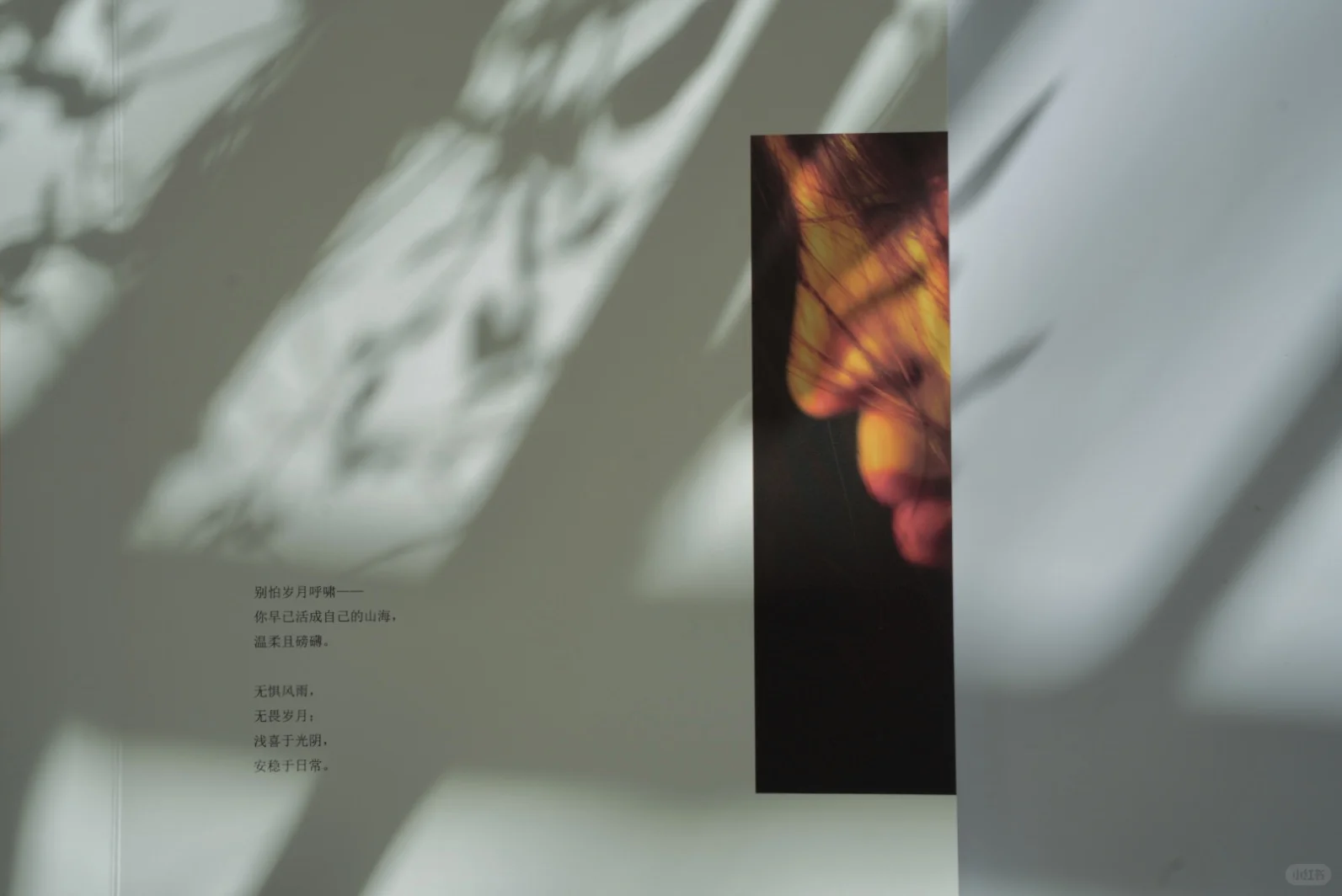 我的第13本照片书