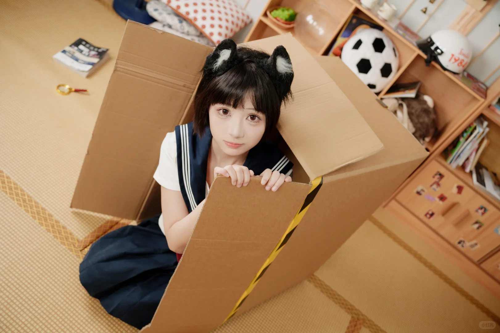 🐾被封印在纸箱的喵喵JK✨