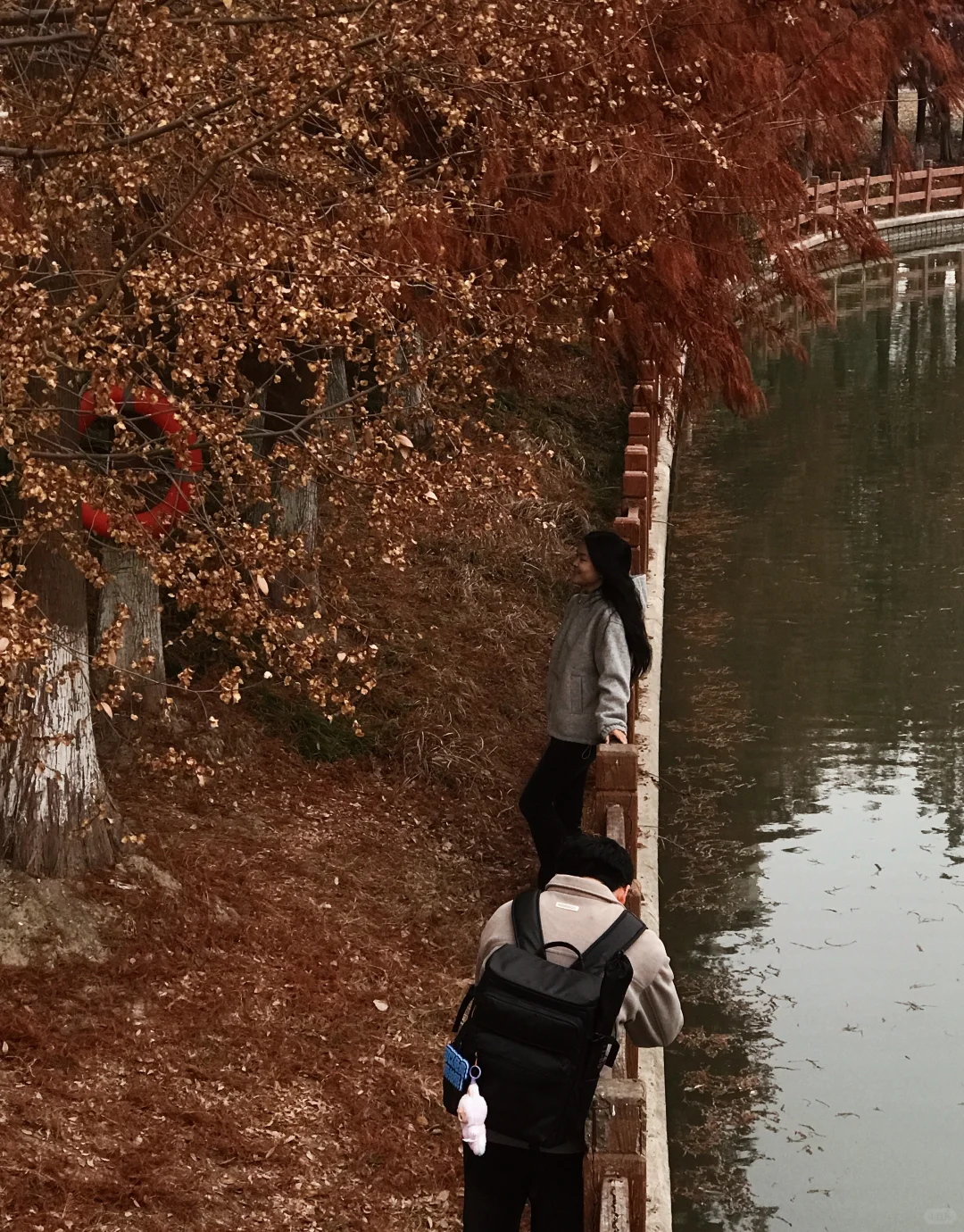 家人们，这里绝对是出红杉写真集的好去处