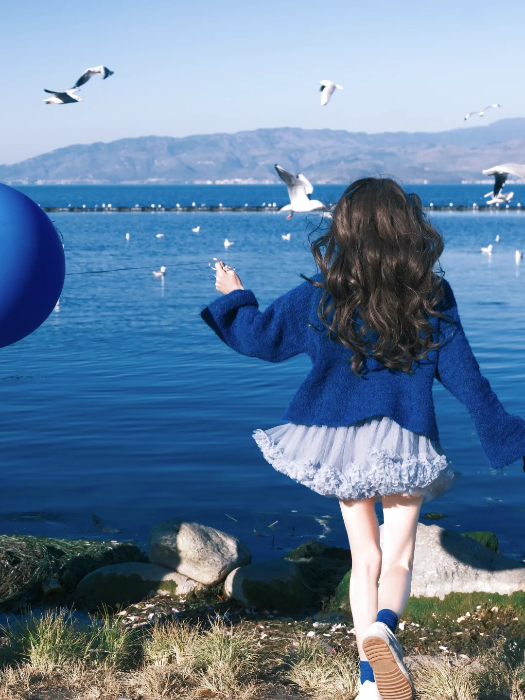 冬日蓝调时刻胶片🎞️海边海鸥氛围感随拍
