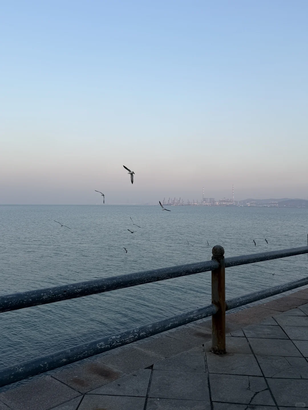 178 150斤｜微胖胯宽｜海边