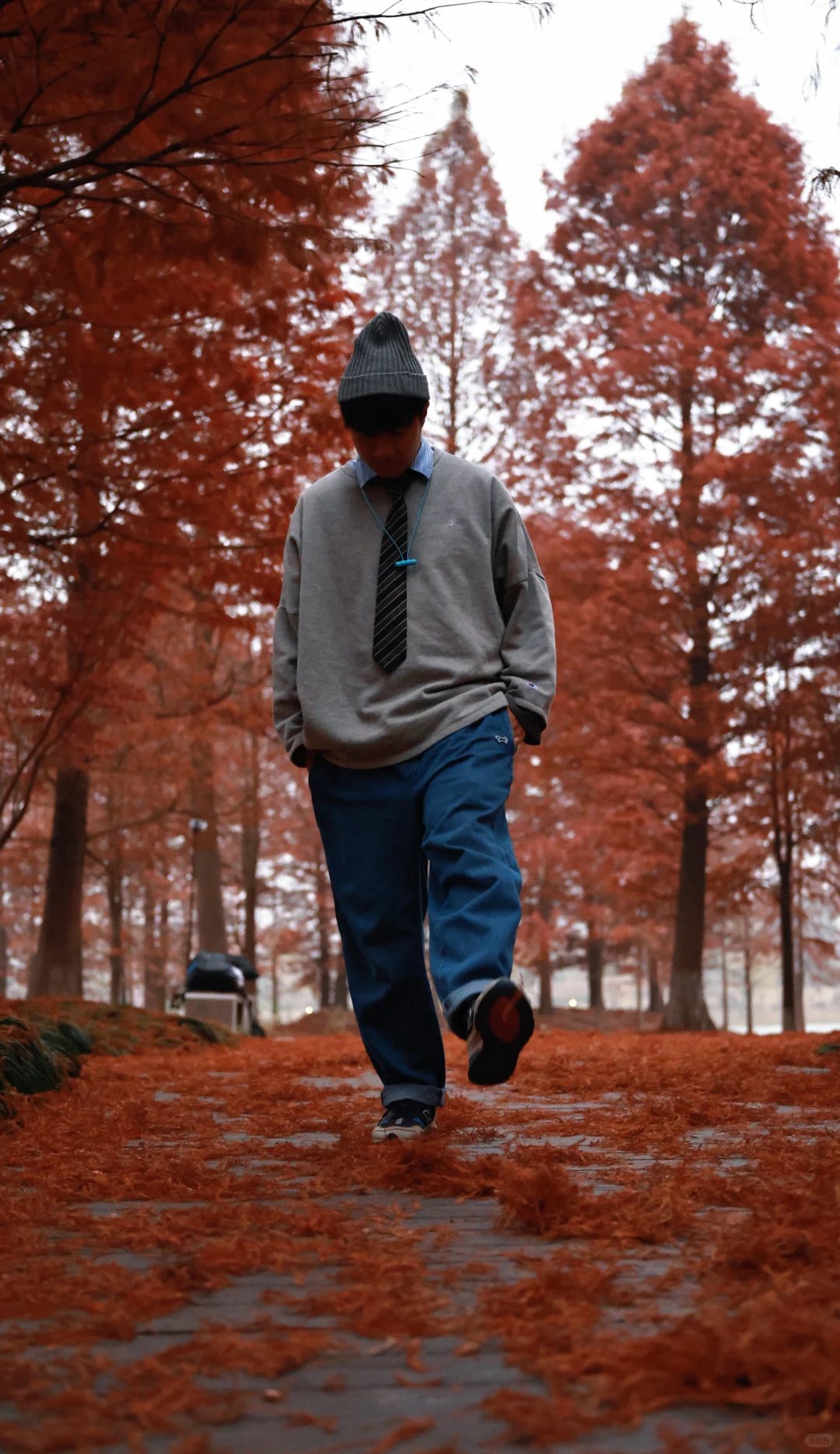 家人们，这里绝对是出红杉写真集的好去处