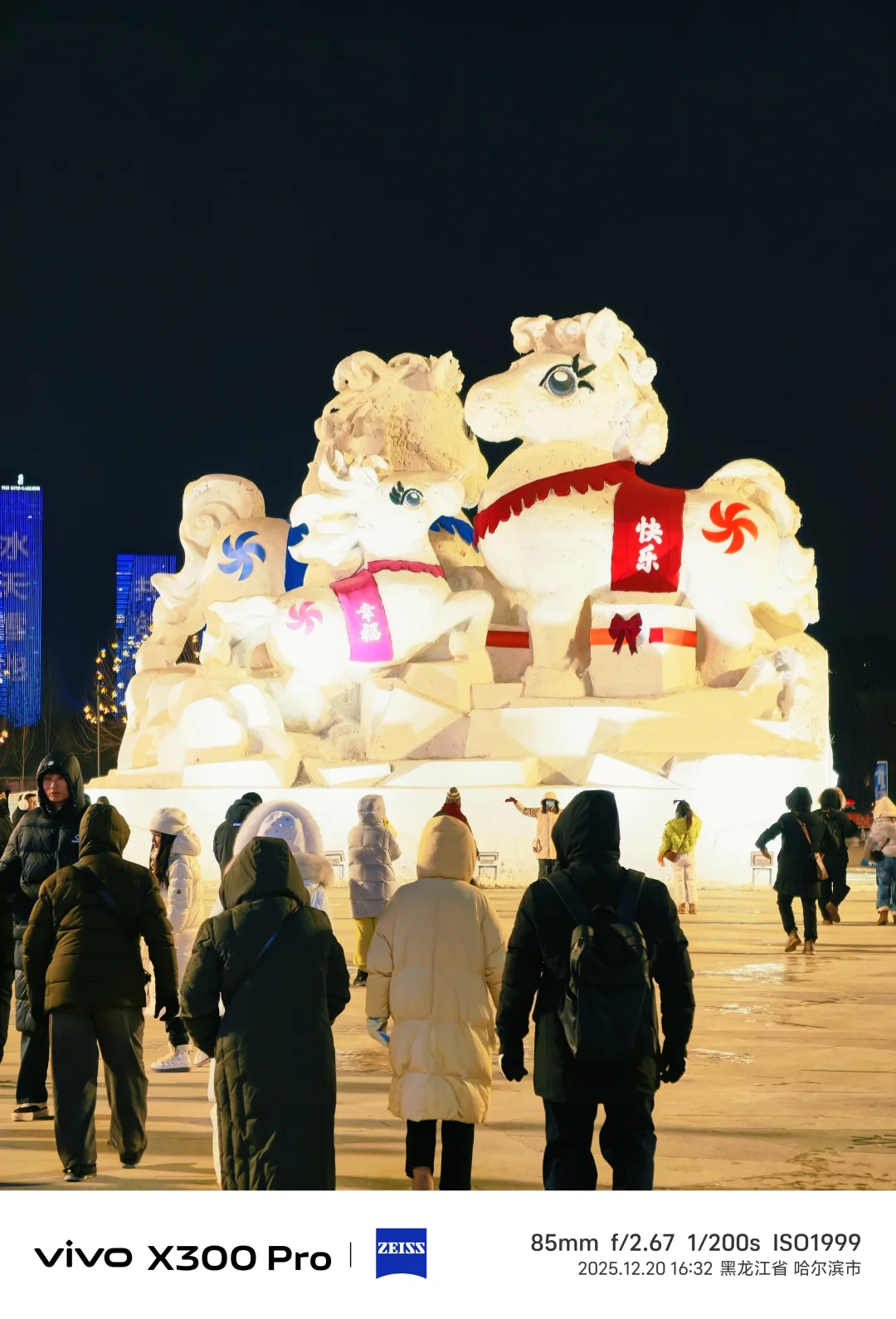 时隔八年终于又来看冰雪节了