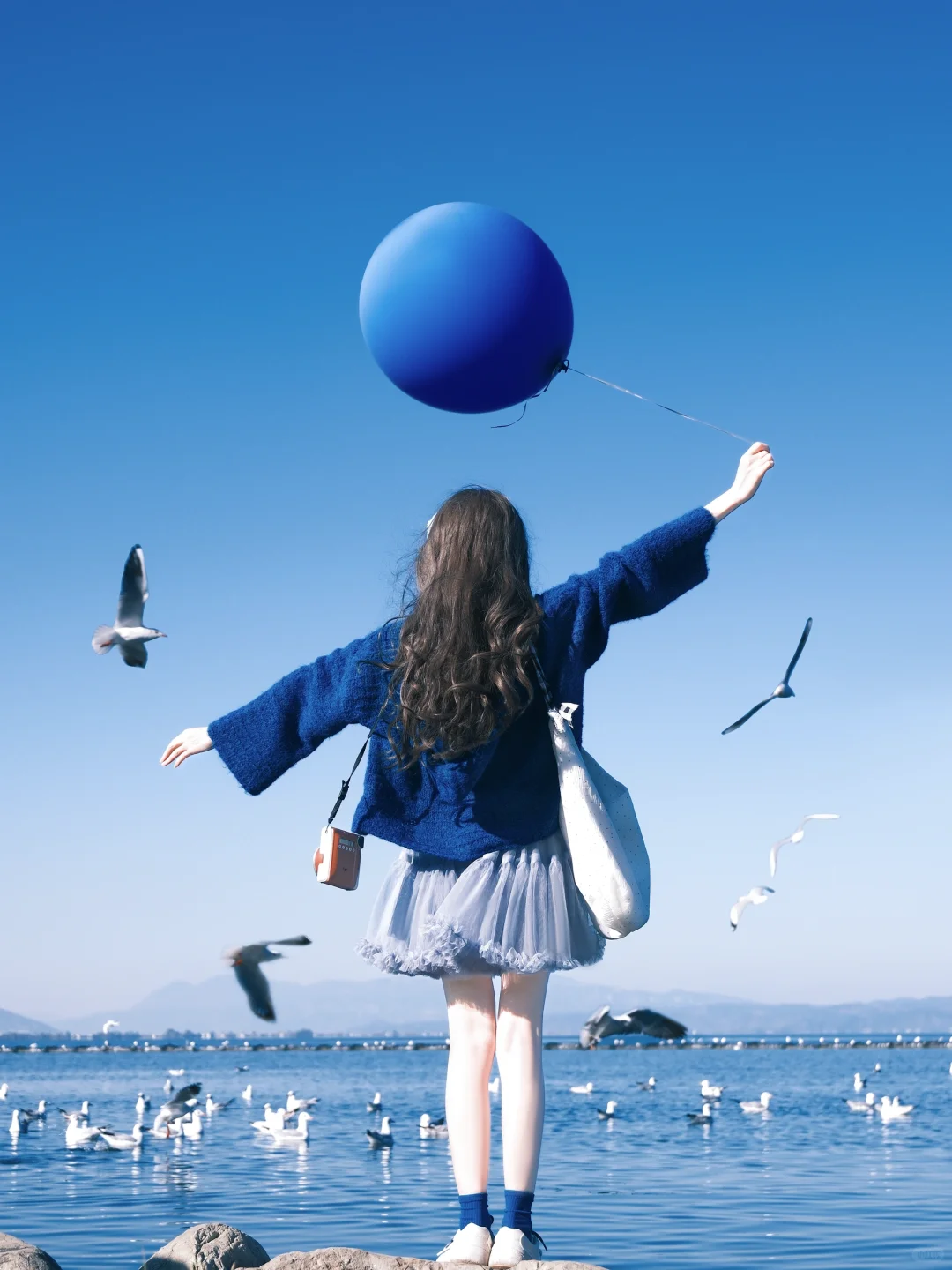 冬日蓝调时刻胶片🎞️海边海鸥氛围感随拍