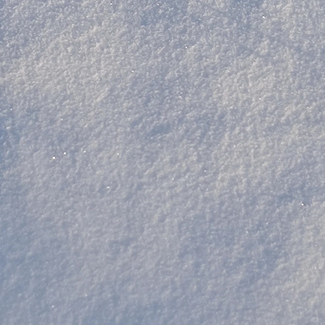 雪人皮·写真集