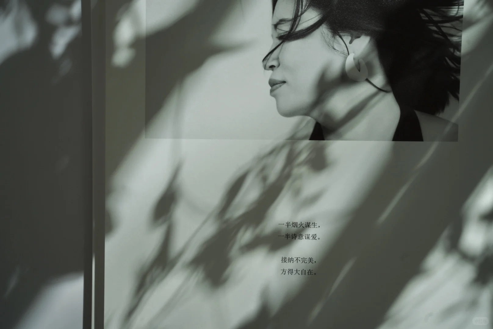 我的第13本照片书