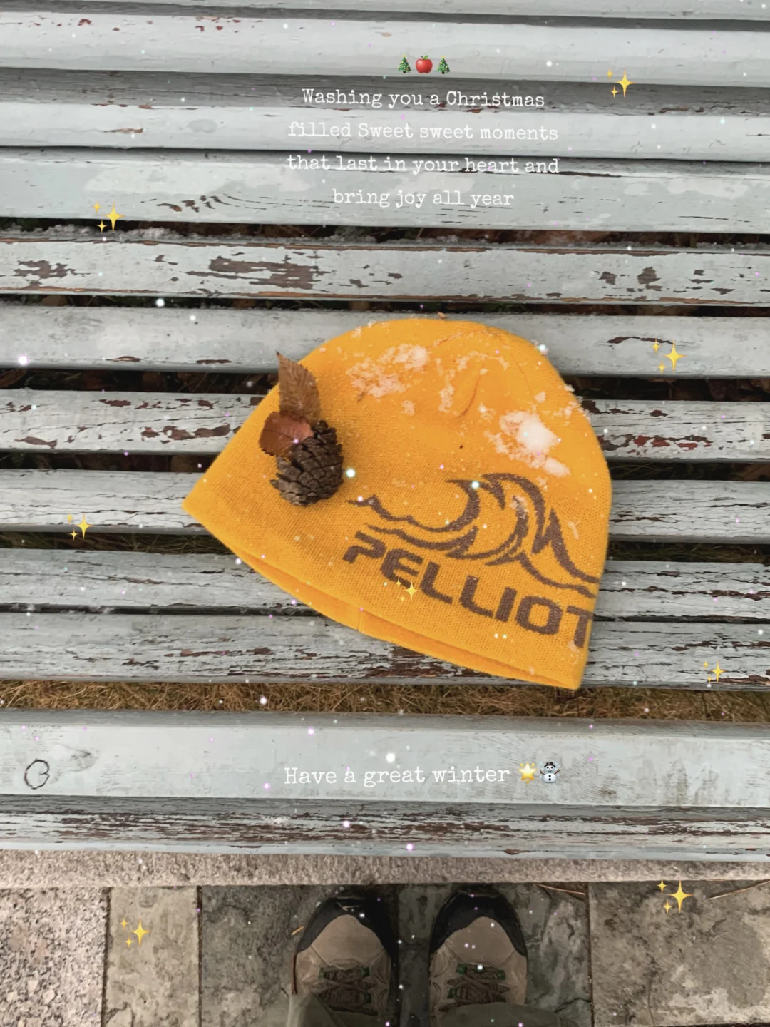 📍青岛初雪，海边的冰雪森林❄️🌲